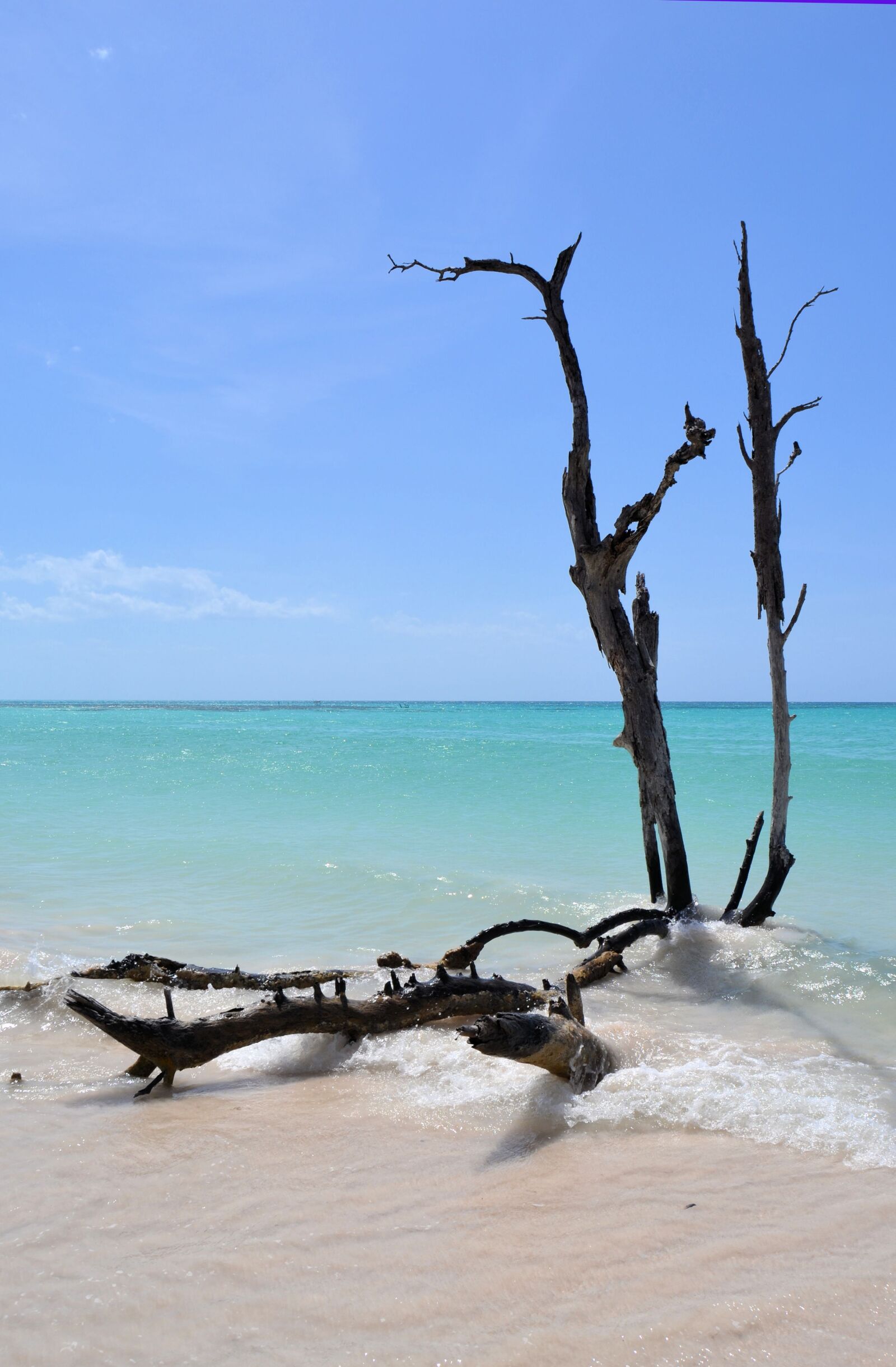 Nikon D3100 sample photo. Cuba, caribbean, beach photography