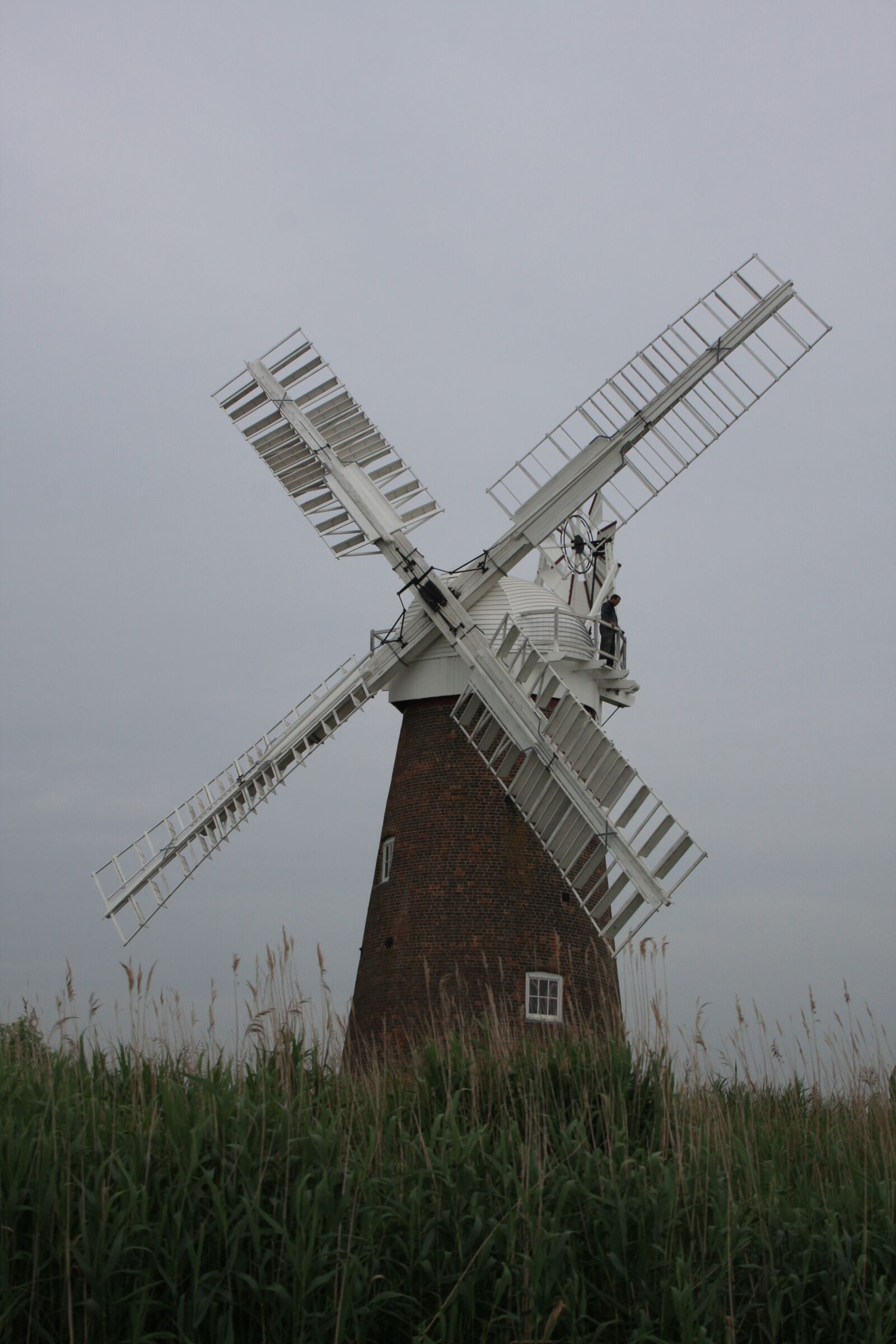 Canon EOS 40D sample photo. Windmill, landscape, scenic photography