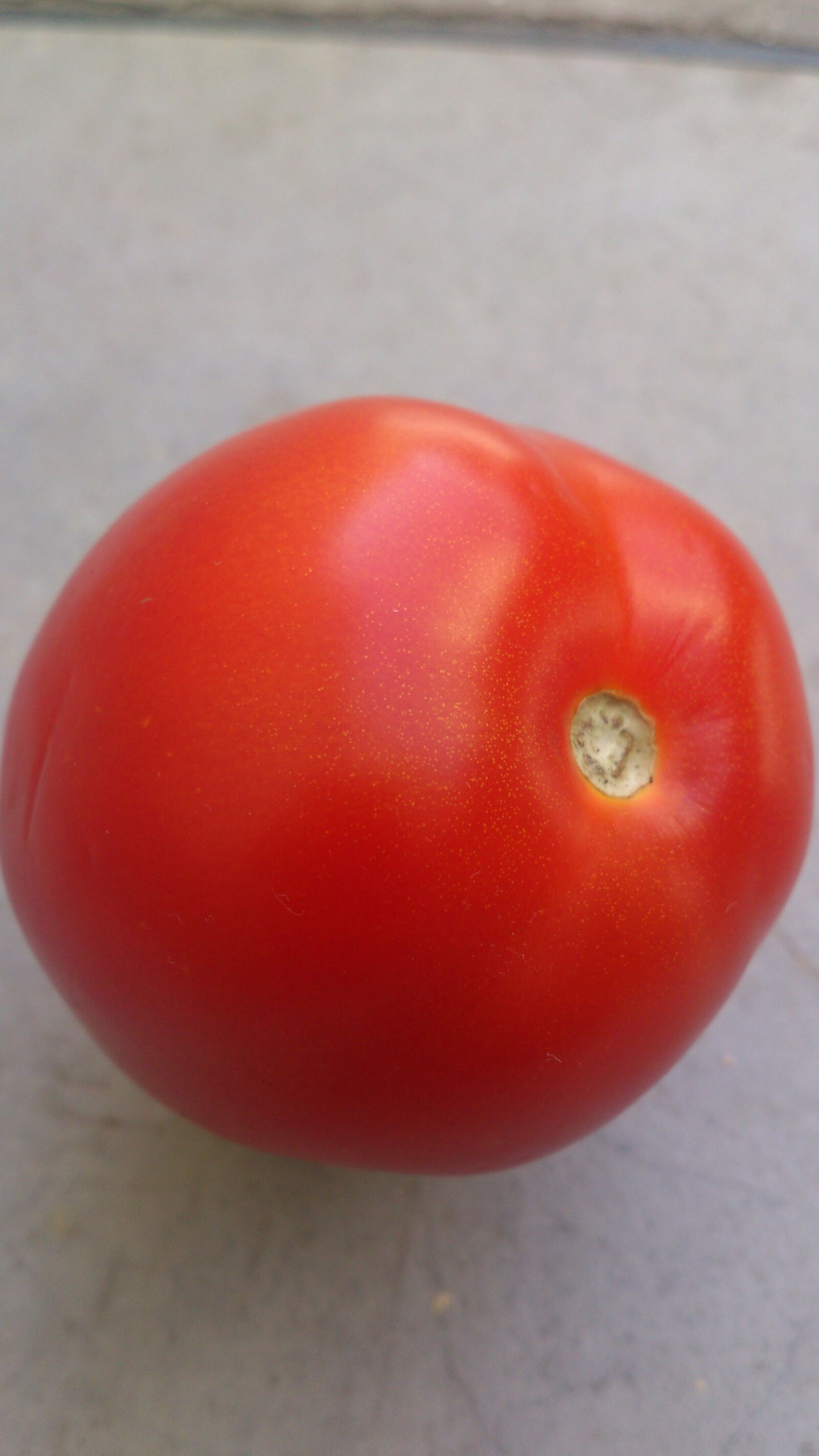 Sony Ericsson Xperia S sample photo. Food, healthy, desktop photography