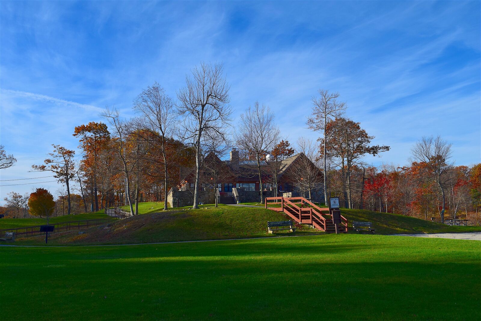 Nikon D3300 sample photo. Park, landscape, grass photography