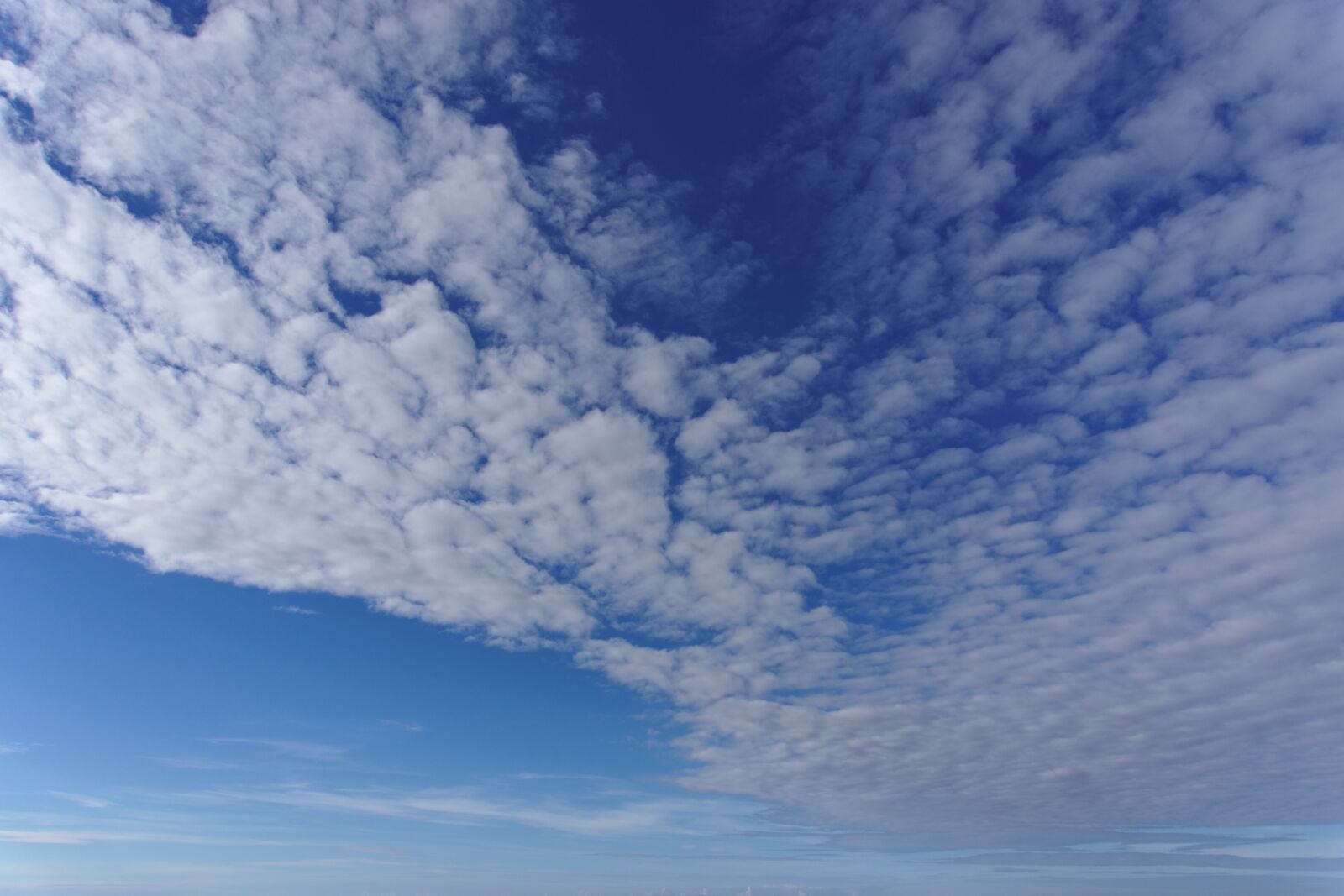 Sony a6000 sample photo. Sky, summer, clouds photography