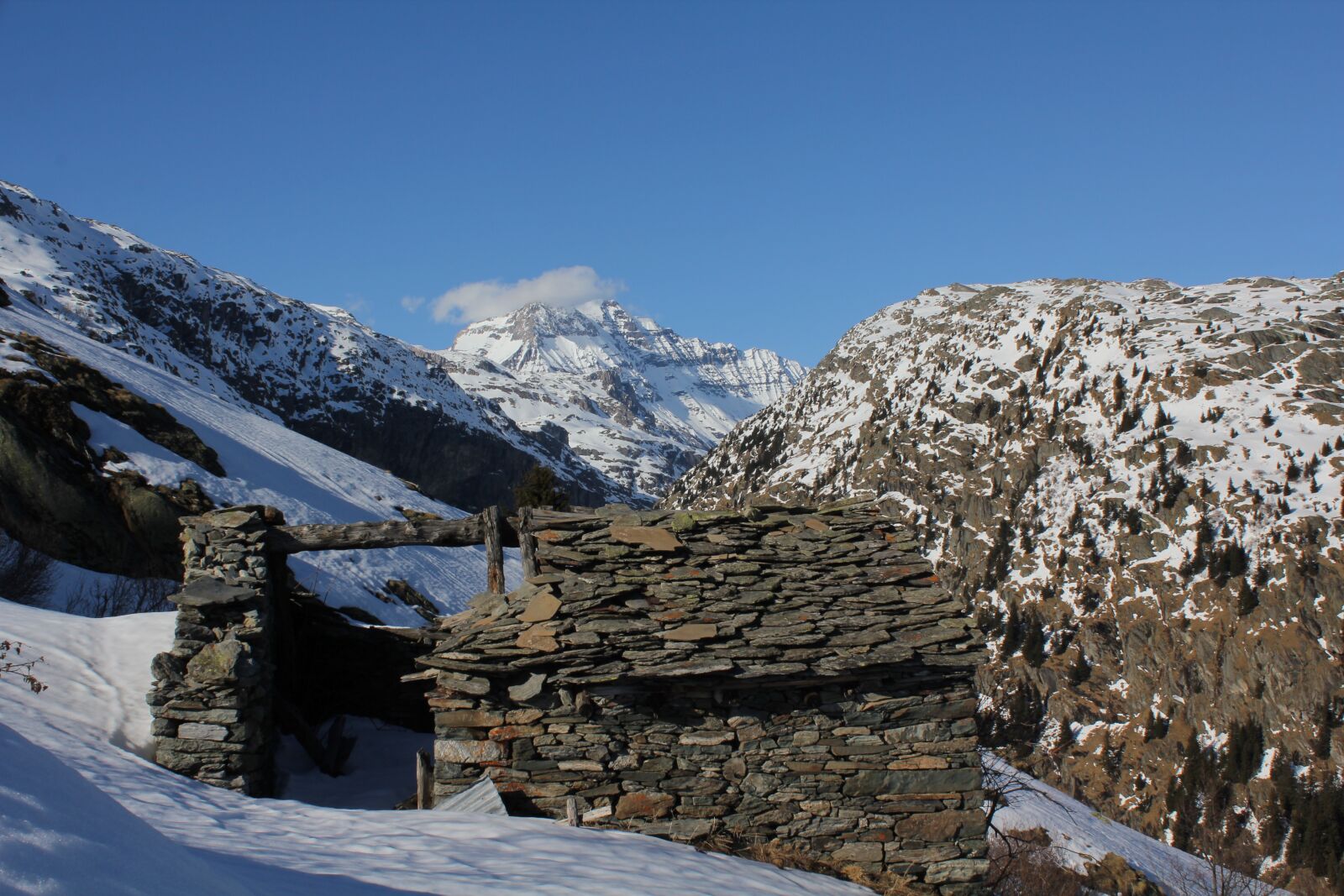 Canon EOS 550D (EOS Rebel T2i / EOS Kiss X4) sample photo. Snow, house, winter photography