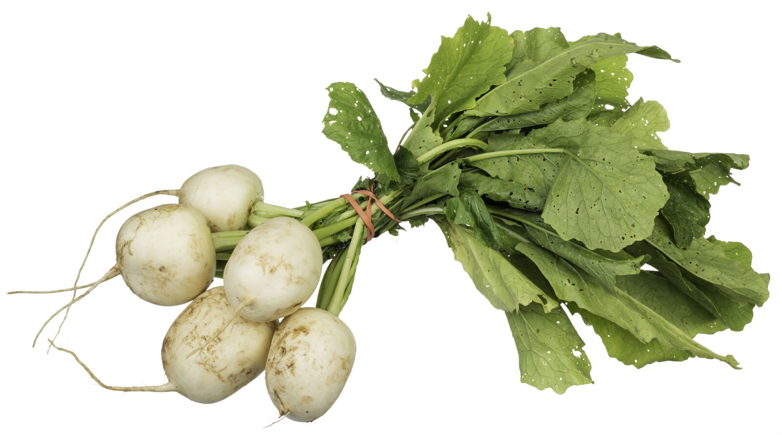 Nikon D7100 sample photo. Vegetables, vitamins, diet photography