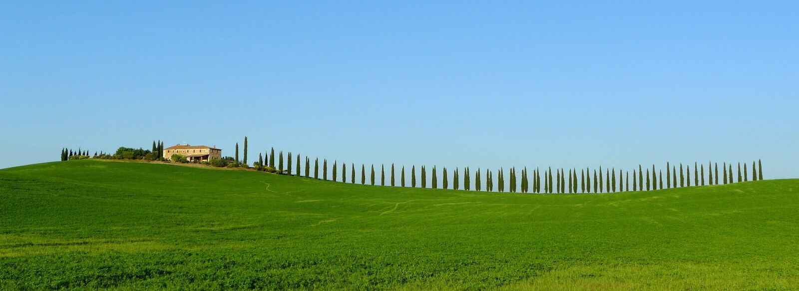 Panasonic Lumix DMC-LX5 sample photo. Toscana, cypresses, farmhouse photography