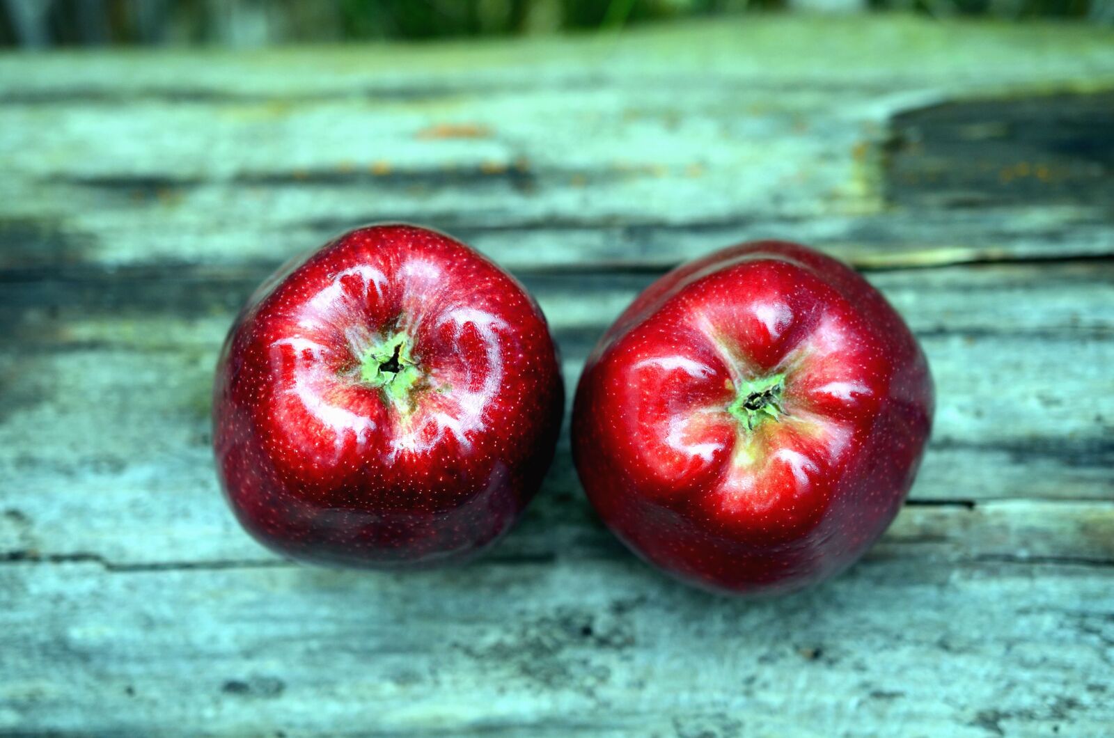 Nikon D5100 sample photo. Red apple, fruit, food photography