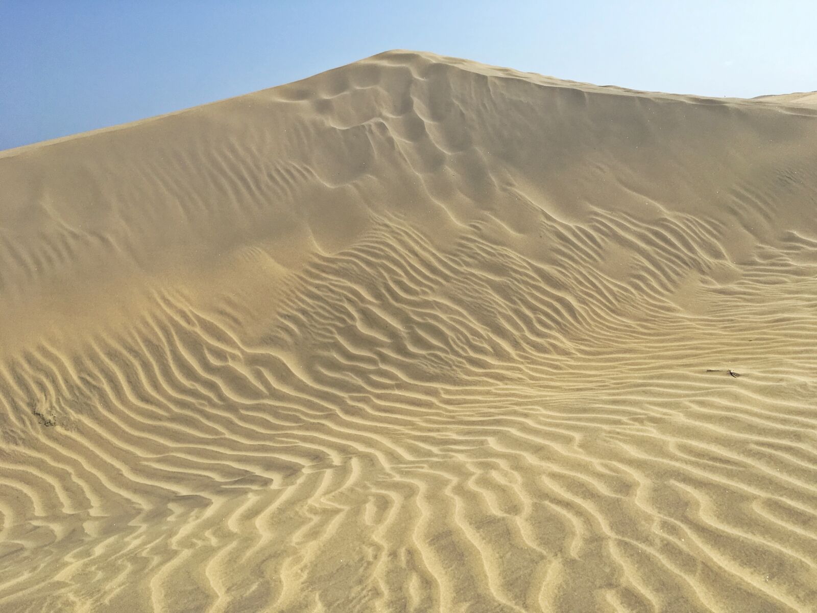 Apple iPad Pro sample photo. Desert, sand dune, sand photography