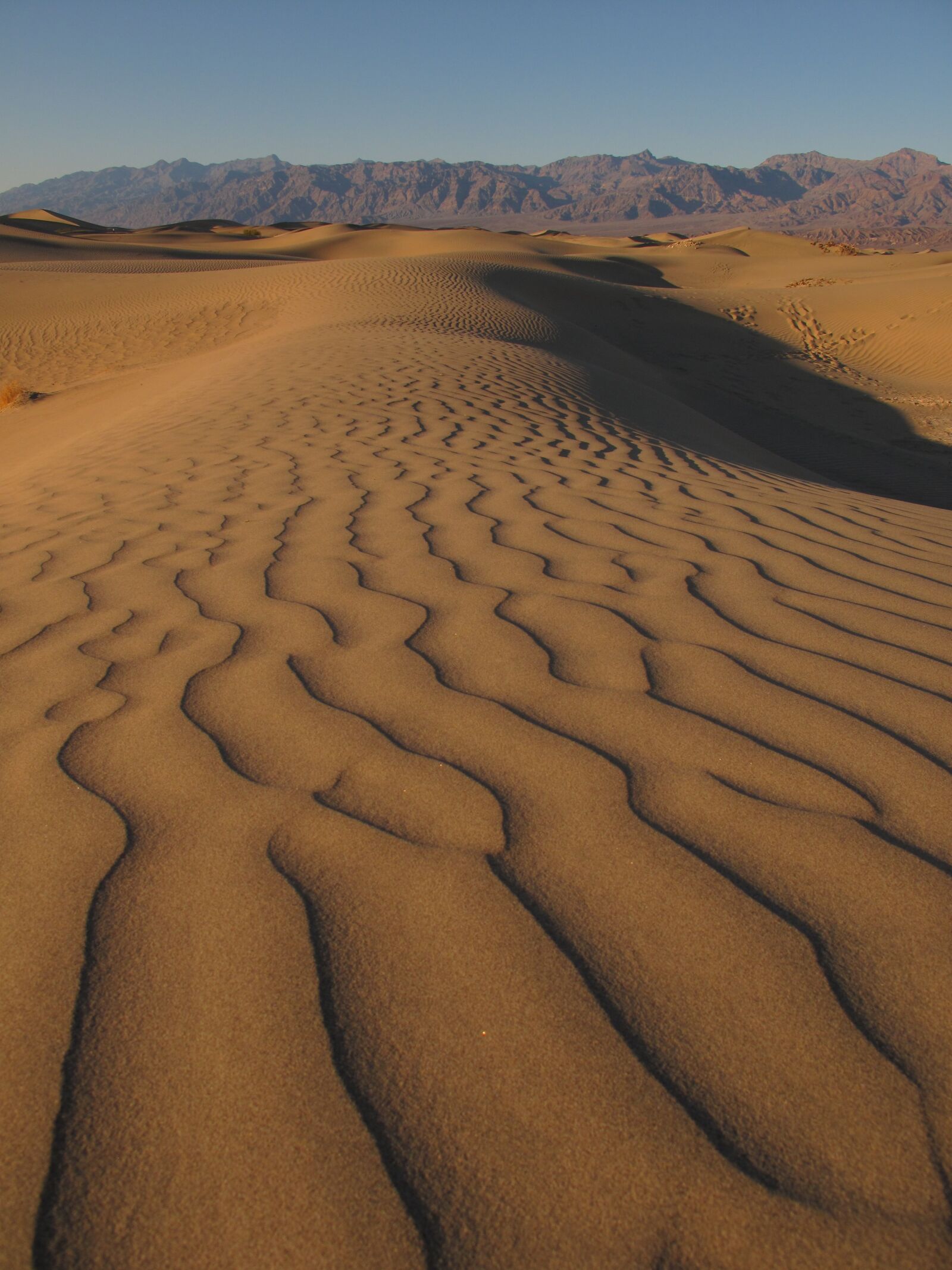 Canon PowerShot G10 sample photo. Desert, dune, sand photography