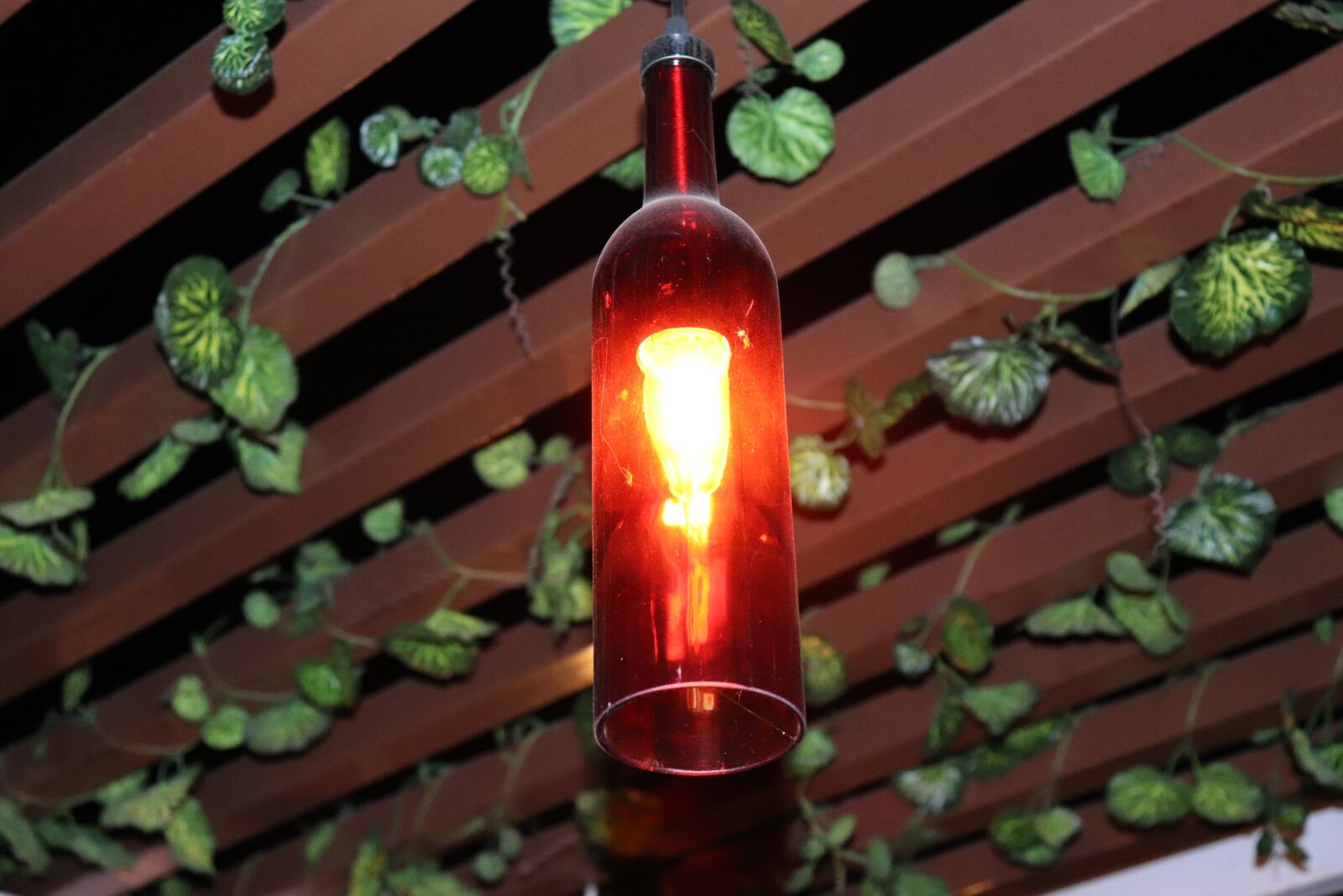 Canon EOS 200D (EOS Rebel SL2 / EOS Kiss X9) sample photo. Wood, leaf, lamp photography