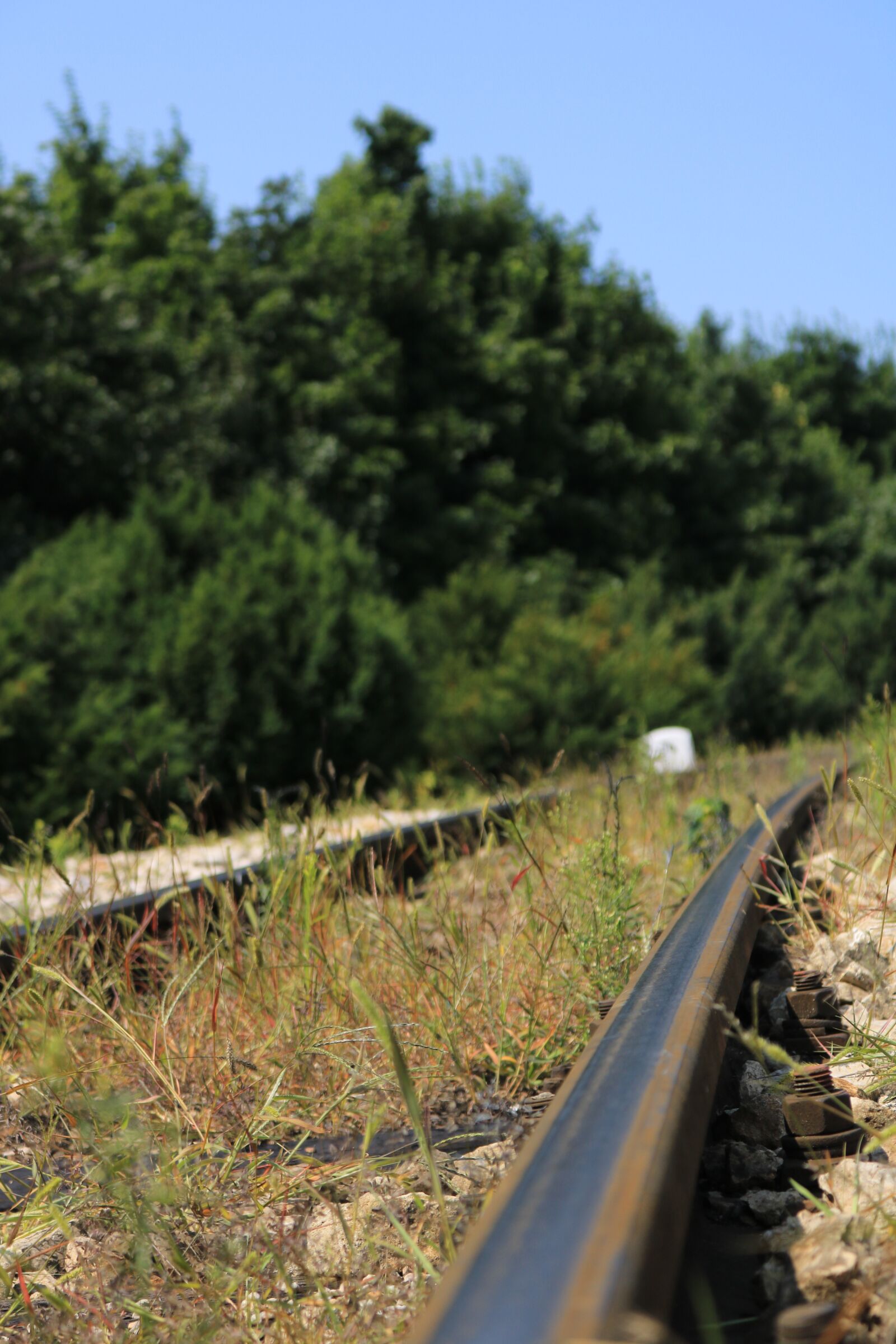 Canon EOS 750D (EOS Rebel T6i / EOS Kiss X8i) sample photo. Gleise, old, railway photography