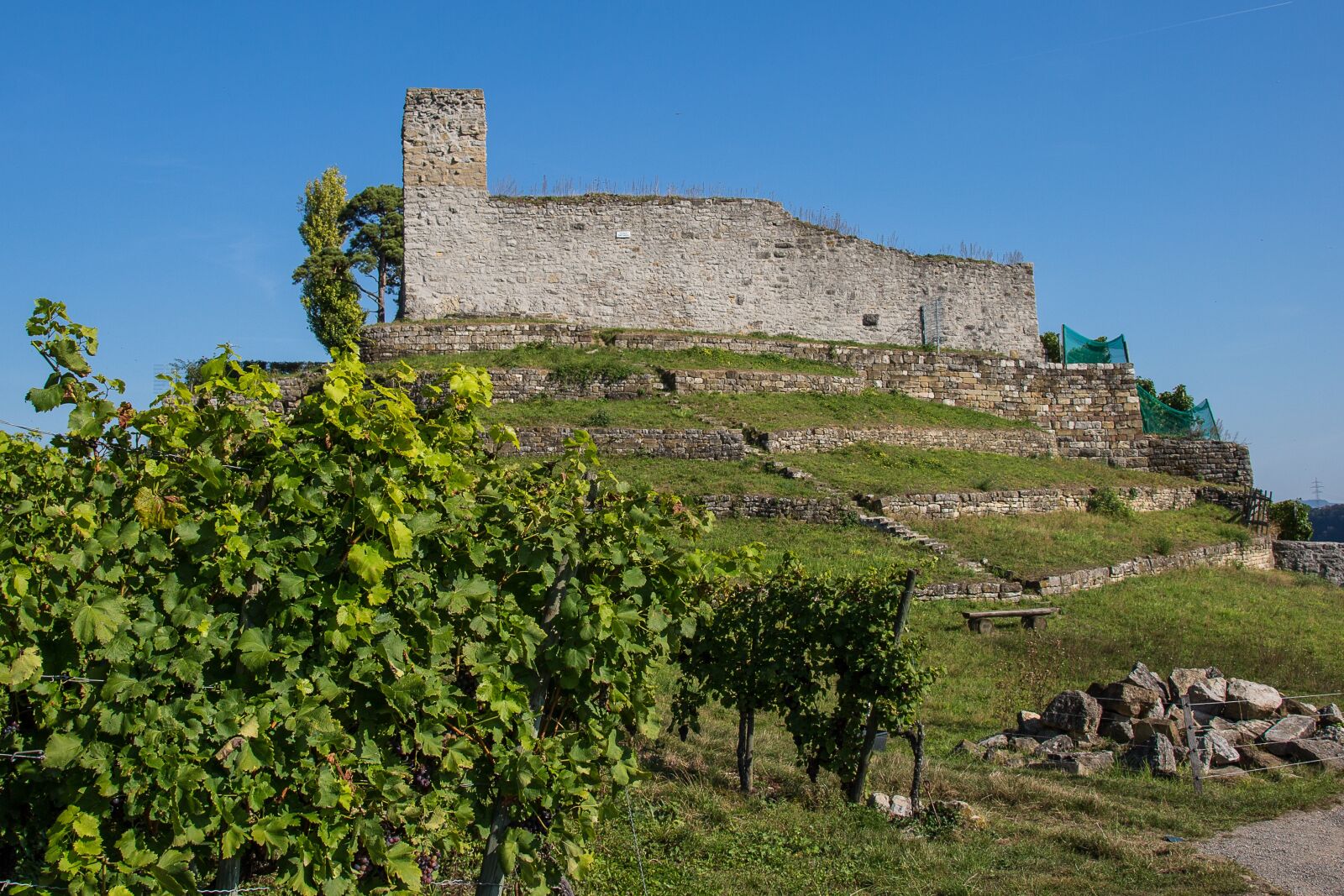 Canon EF 24-105mm F4L IS USM sample photo. Hoheneck, hoheneck castle, ludwigsburg photography