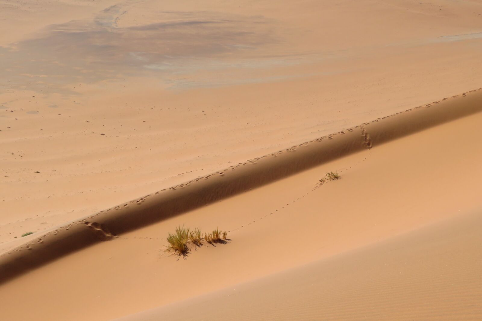 Canon PowerShot SX720 HS sample photo. Sand, dune, background photography