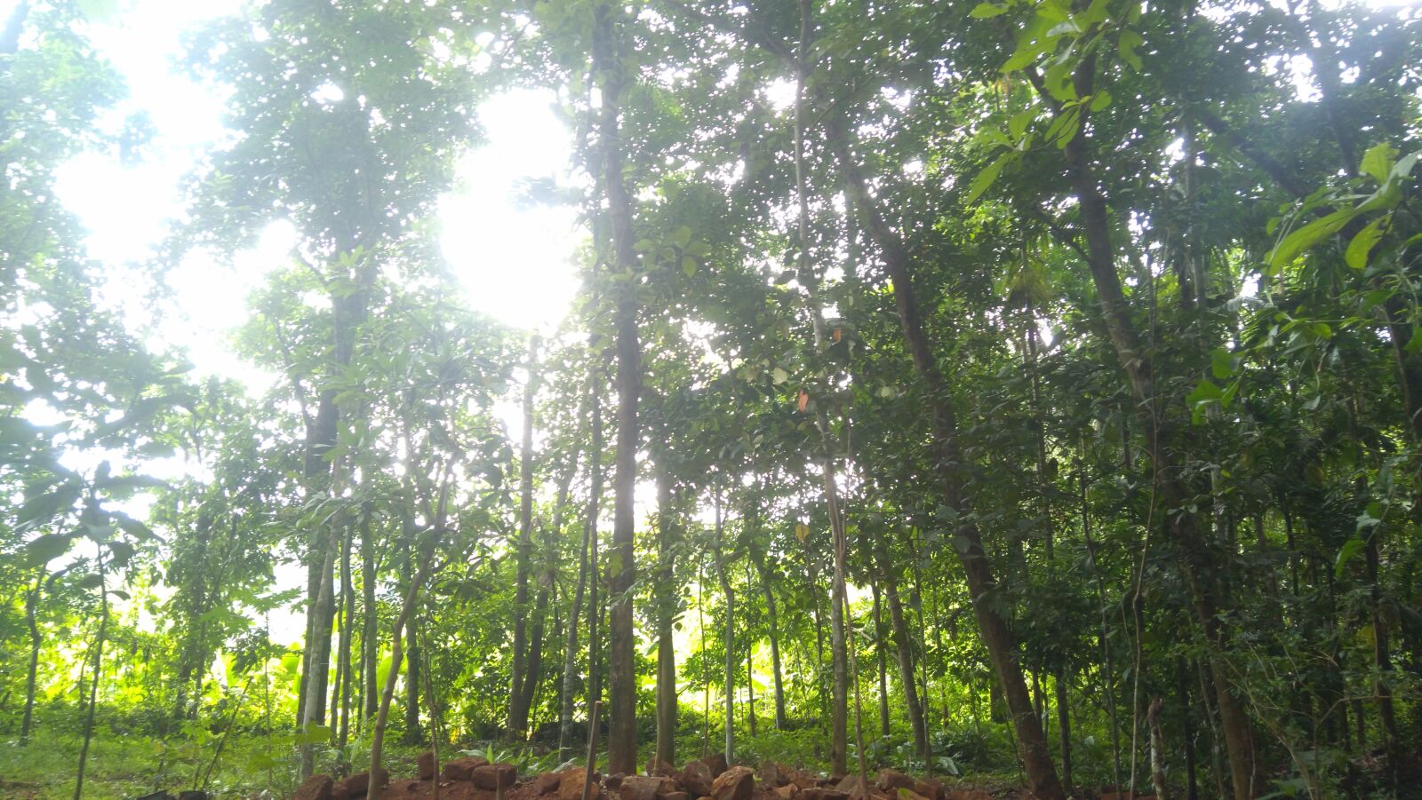 Lenovo K6 NOTE sample photo