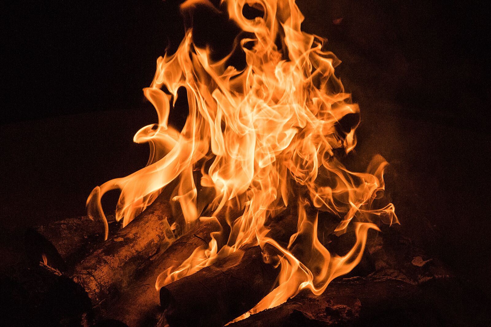 Nikon D750 sample photo. Fire, campfire, wood photography