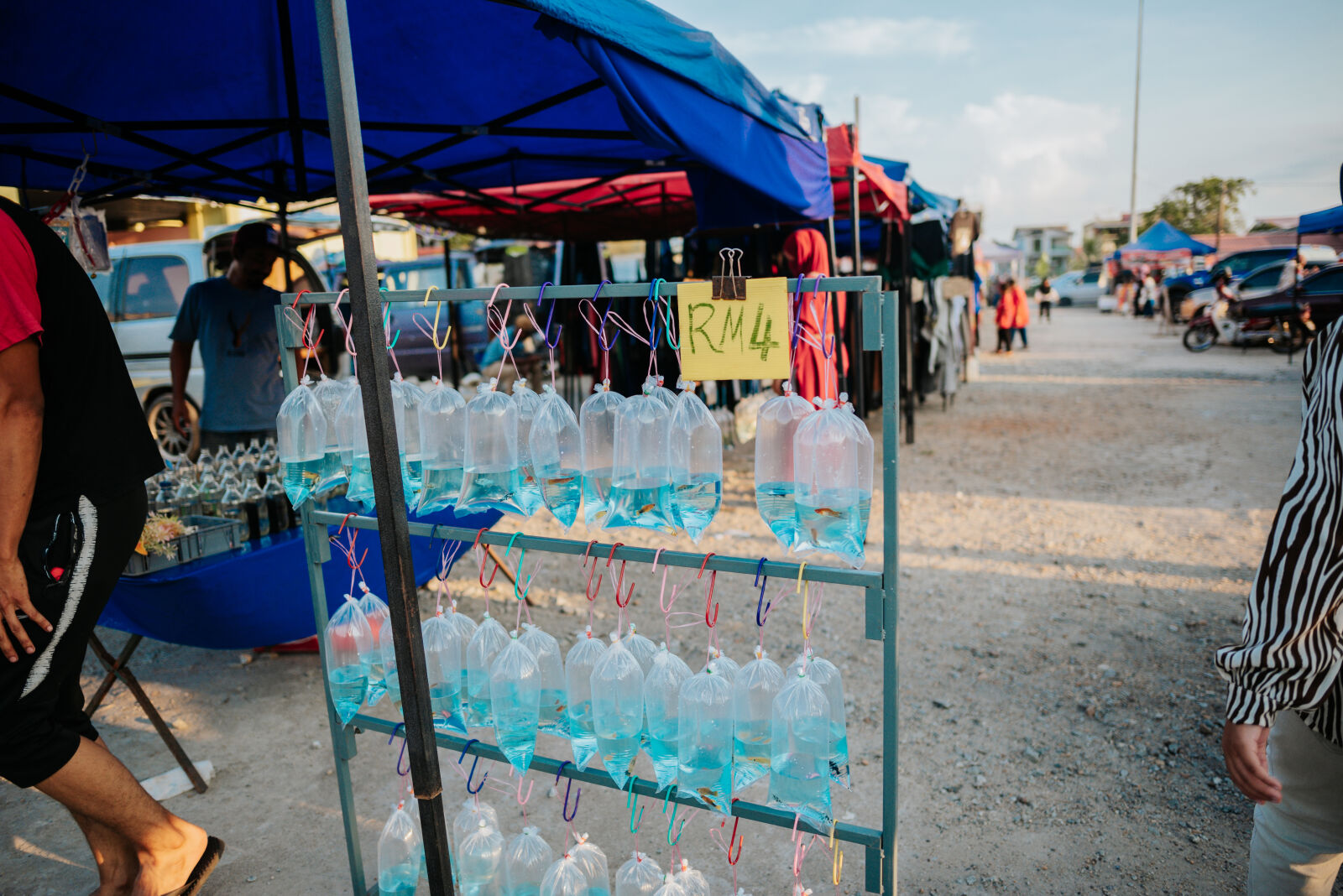 Nikon D750 sample photo