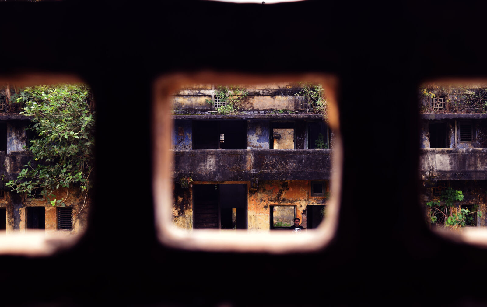Nikon D3300 sample photo. Abandoned, frame, ruins photography