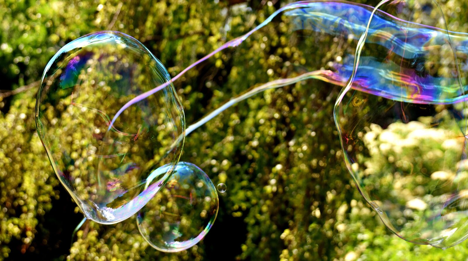 Nikon D7200 sample photo. Soap bubbles, huge, large photography