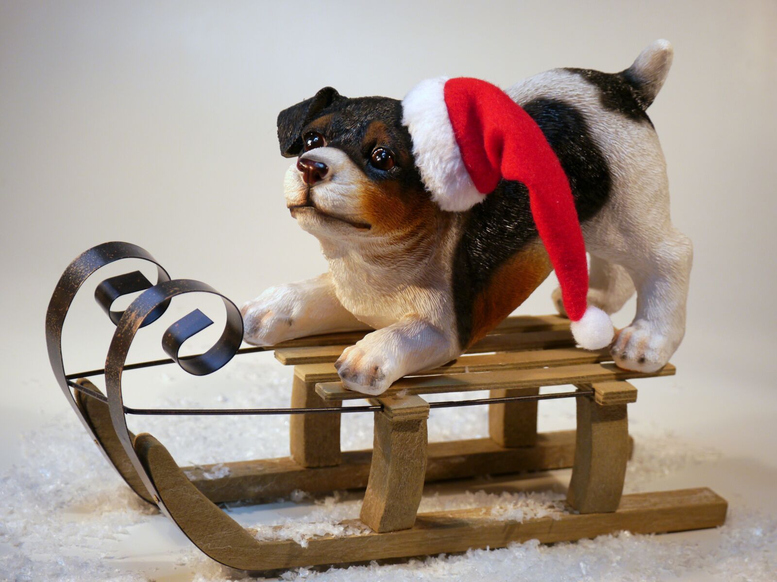 Panasonic Lumix DMC-G5 sample photo. Christmas, dog, christmas dog photography