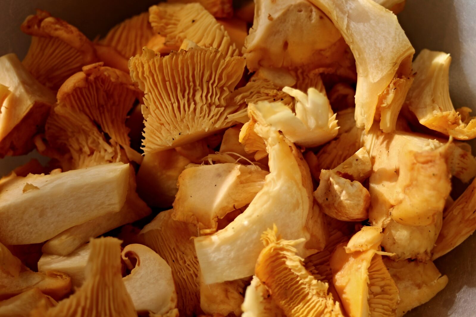 Canon EOS 1100D (EOS Rebel T3 / EOS Kiss X50) + Canon EF 28-80mm f/3.5-5.6 sample photo. Chanterelles, cut, mushrooms photography