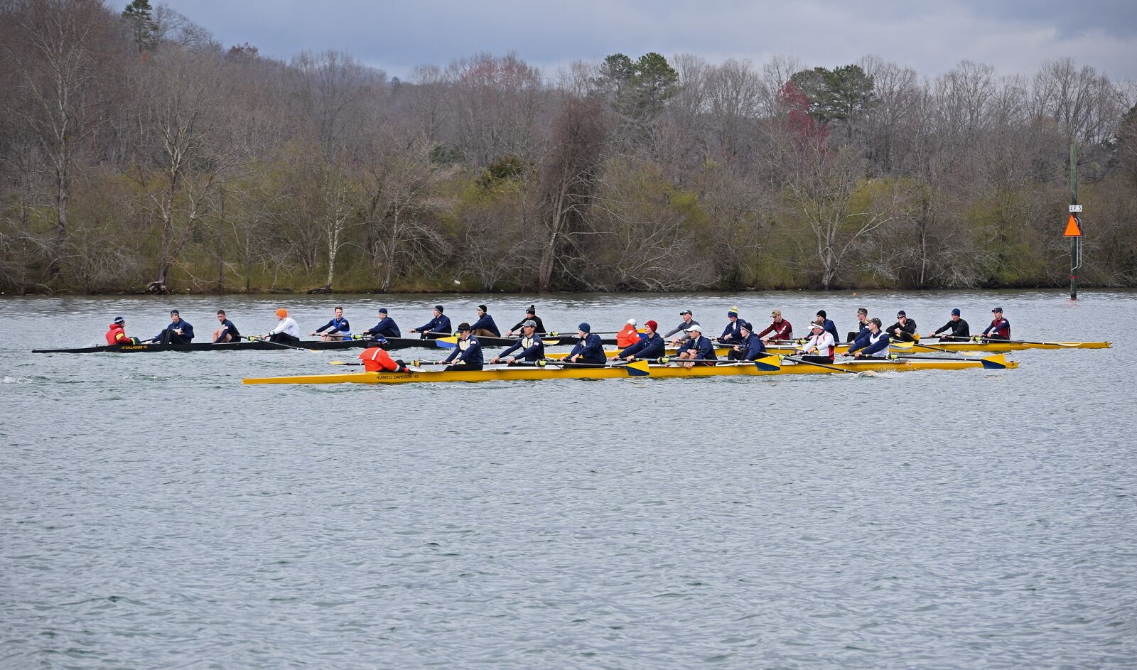 Nikon D3300 sample photo. Scull rowing, clinch river photography