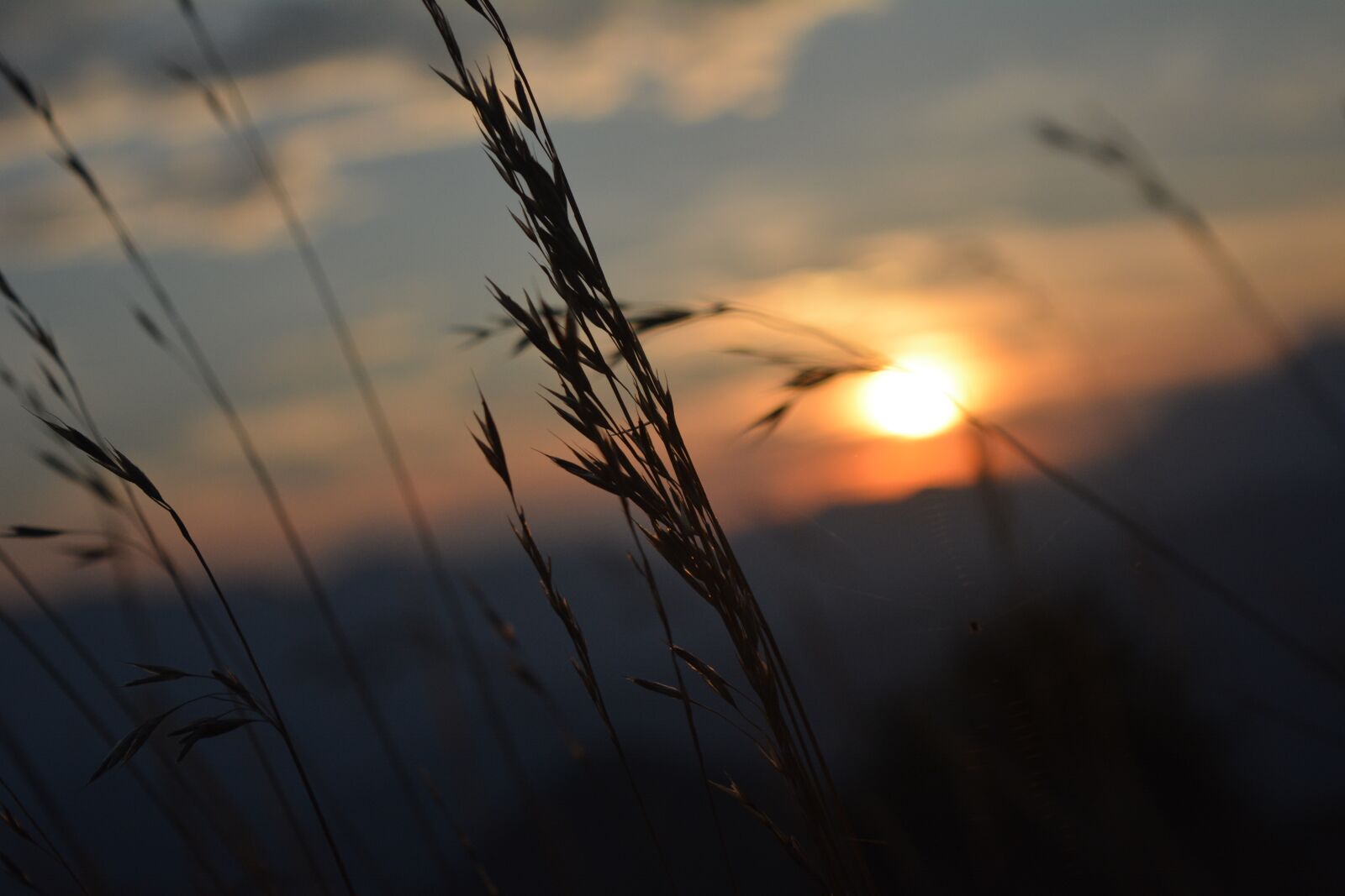 Nikon D5200 sample photo. Sunset, sun, landscape photography