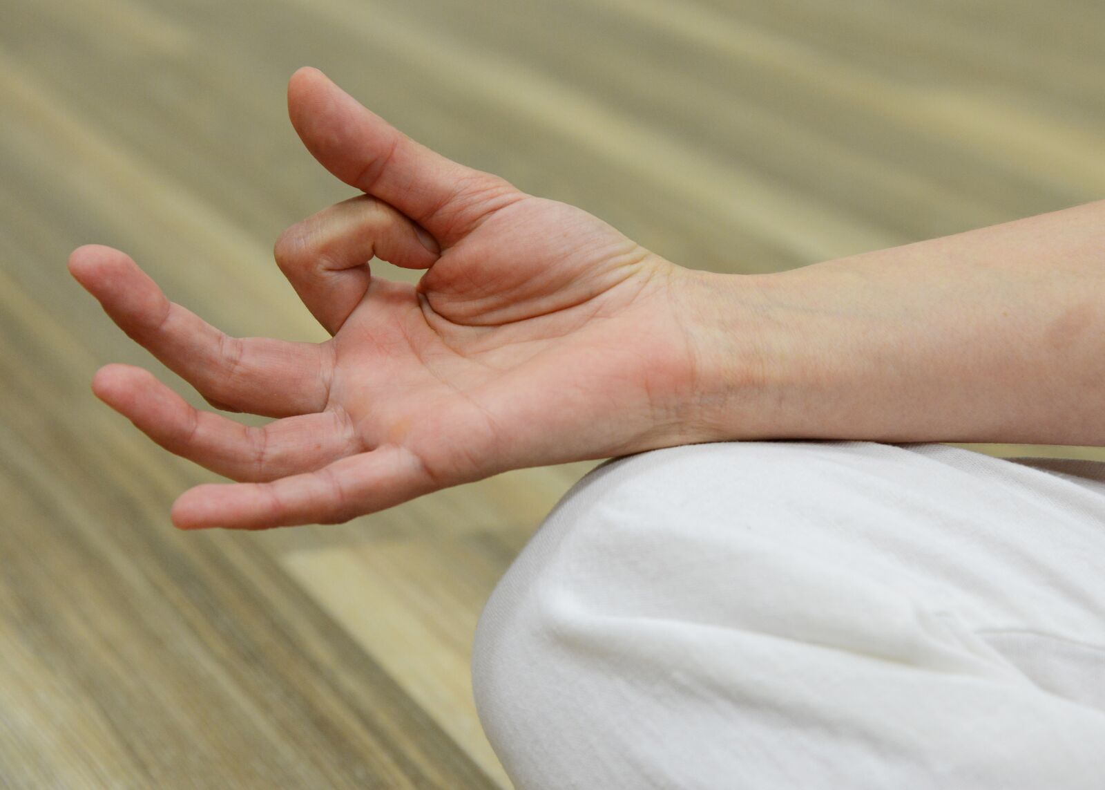 Nikon D800 sample photo. Finger, keep, meditate photography