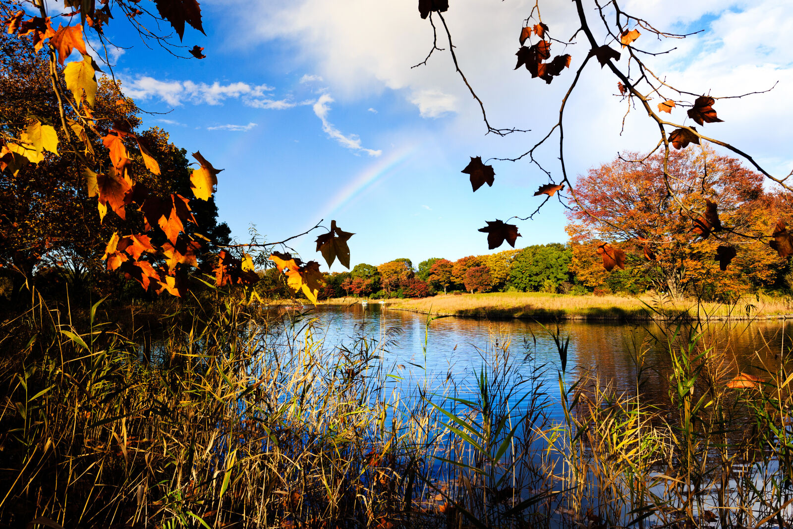Canon EOS 6D sample photo. Autumn, autumn, colours, fall photography