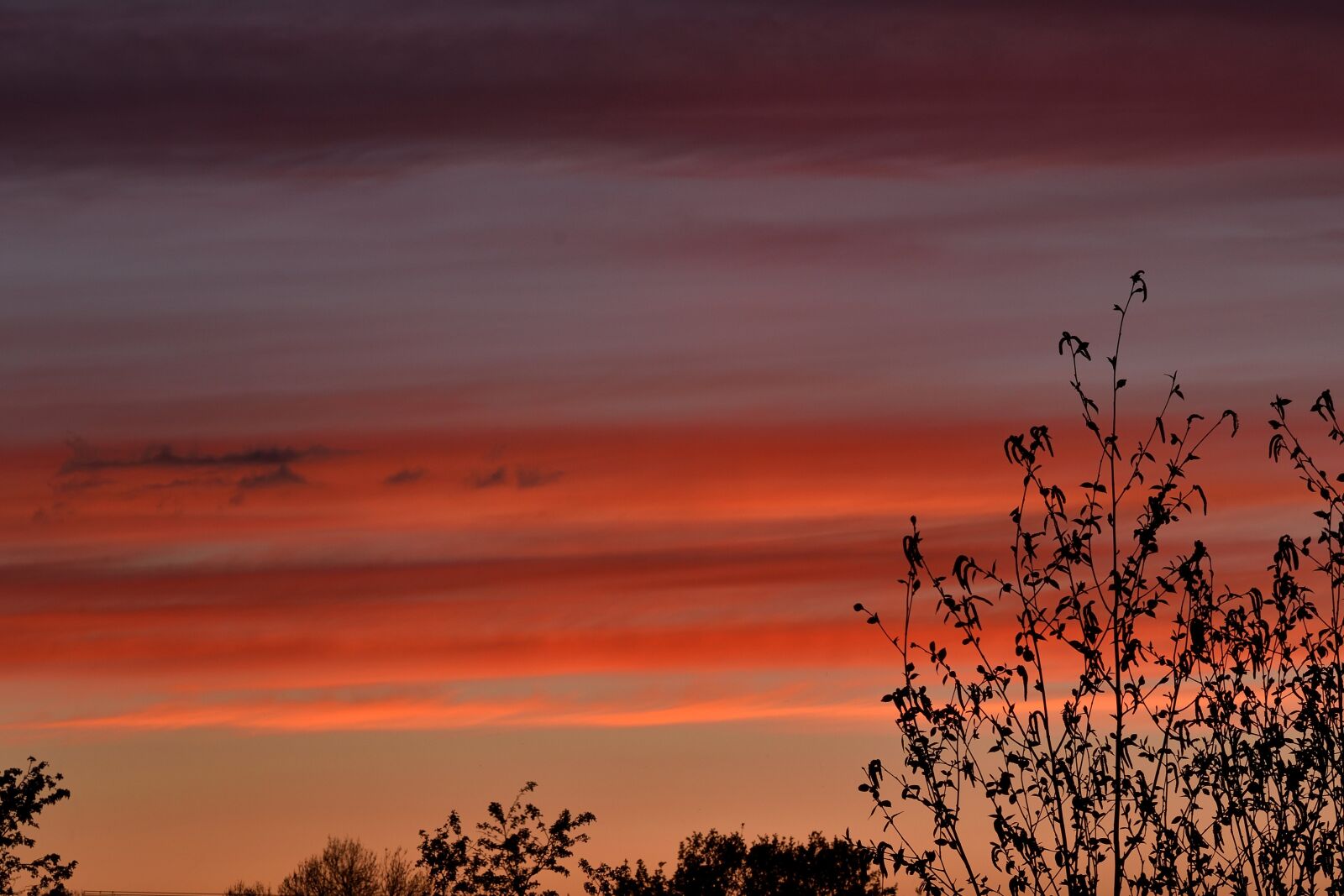Nikon D5500 sample photo. Sunset, orange sky, colors photography