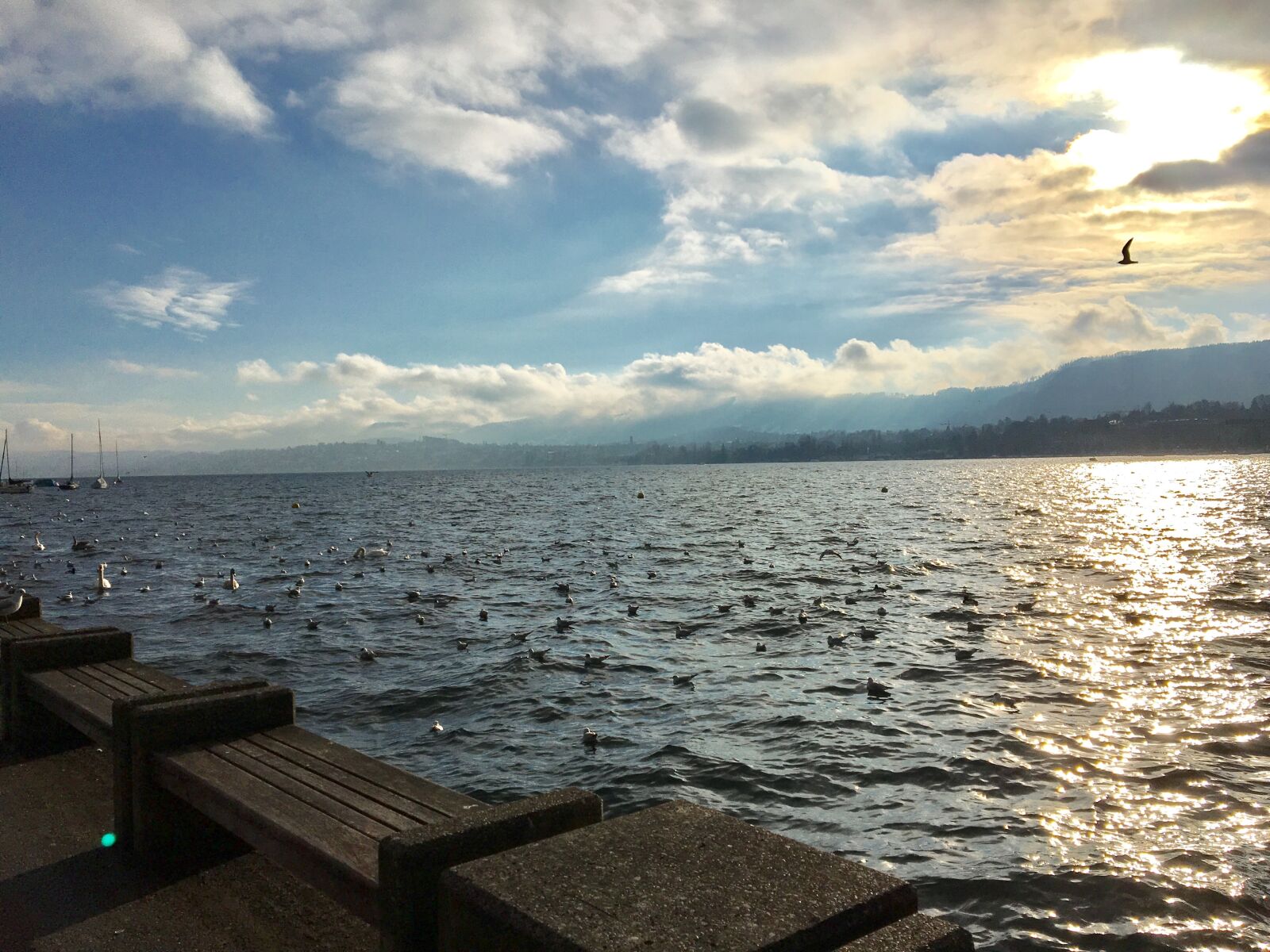 Apple iPhone 6s sample photo. Zurich, lake, water photography