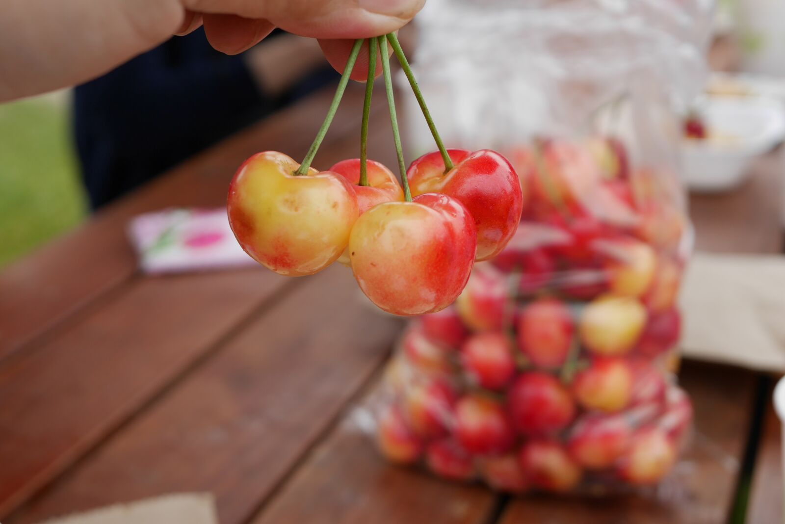 Panasonic Lumix DMC-GF7 sample photo. Cherries, new, zealand photography