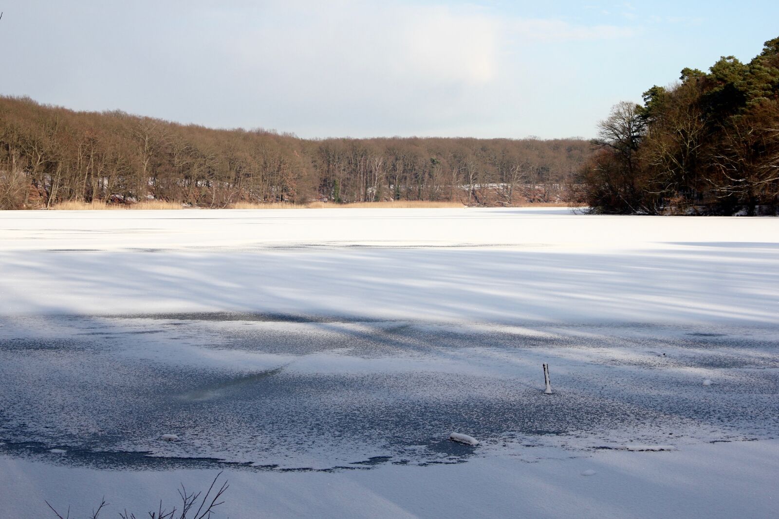 Canon EOS 550D (EOS Rebel T2i / EOS Kiss X4) sample photo. Lake, winter, cold photography