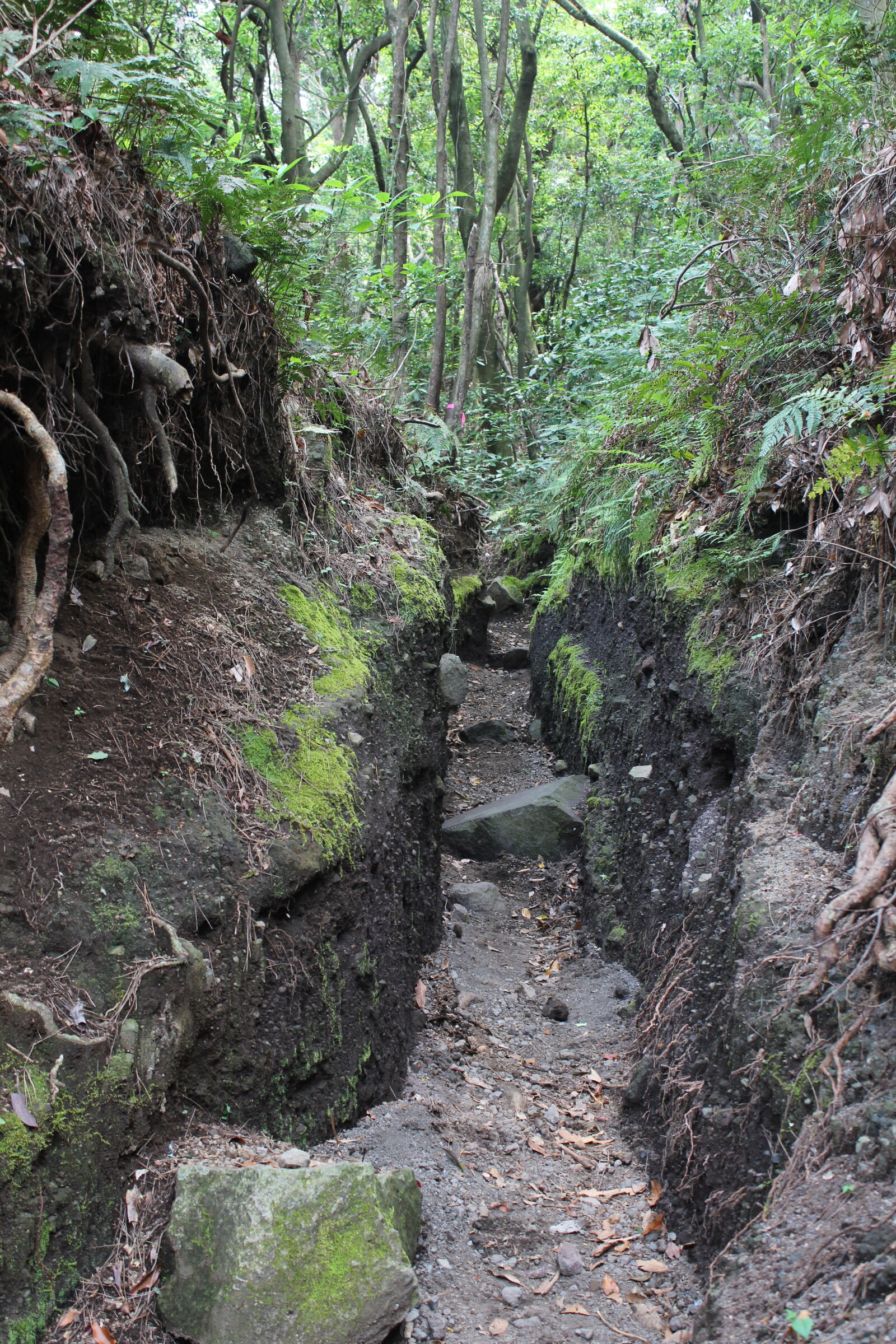 Canon EOS 600D (Rebel EOS T3i / EOS Kiss X5) sample photo. Mountain, hiking photography