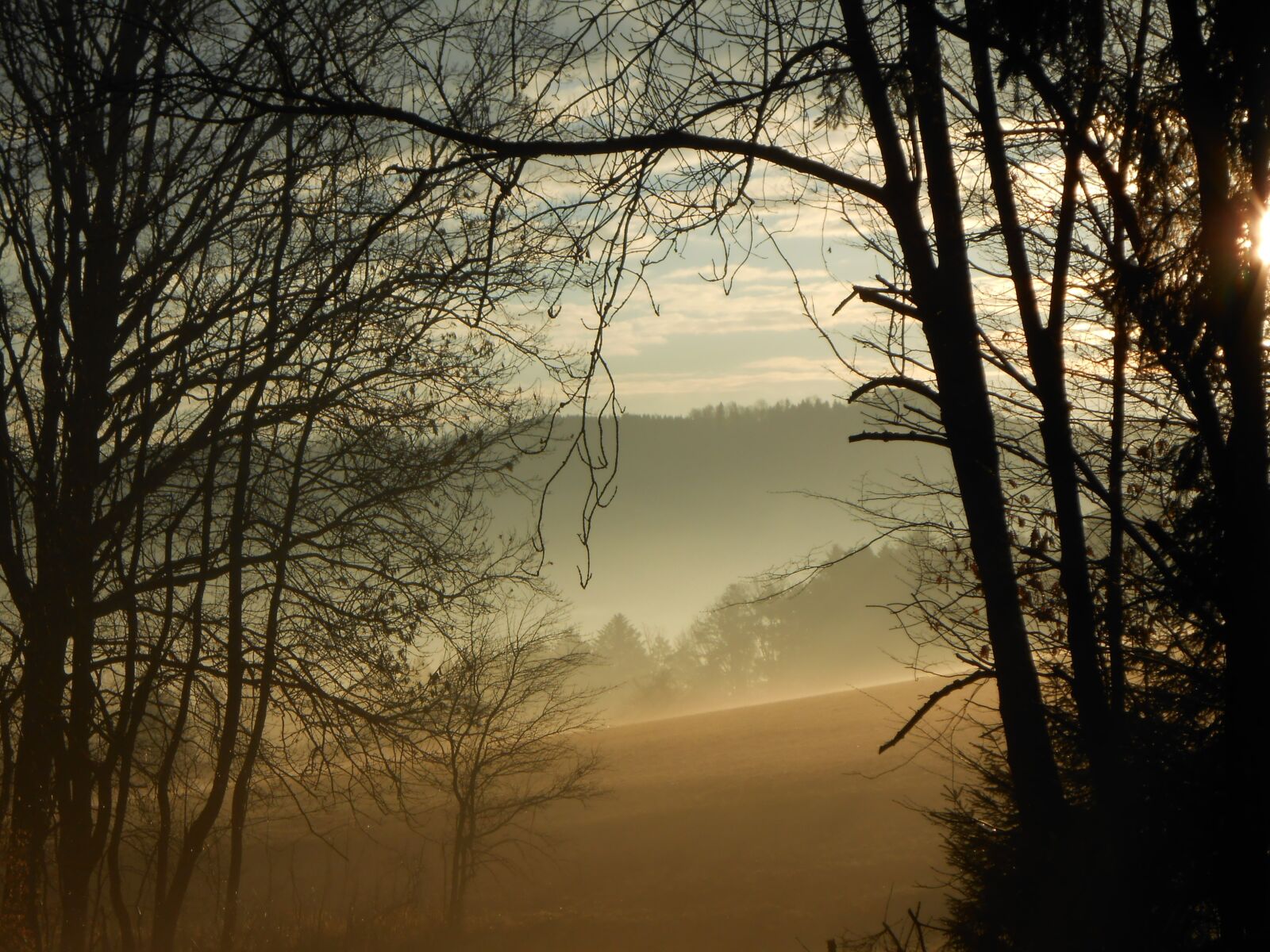 Nikon Coolpix S3300 sample photo. Sunrise, fog, morning sun photography