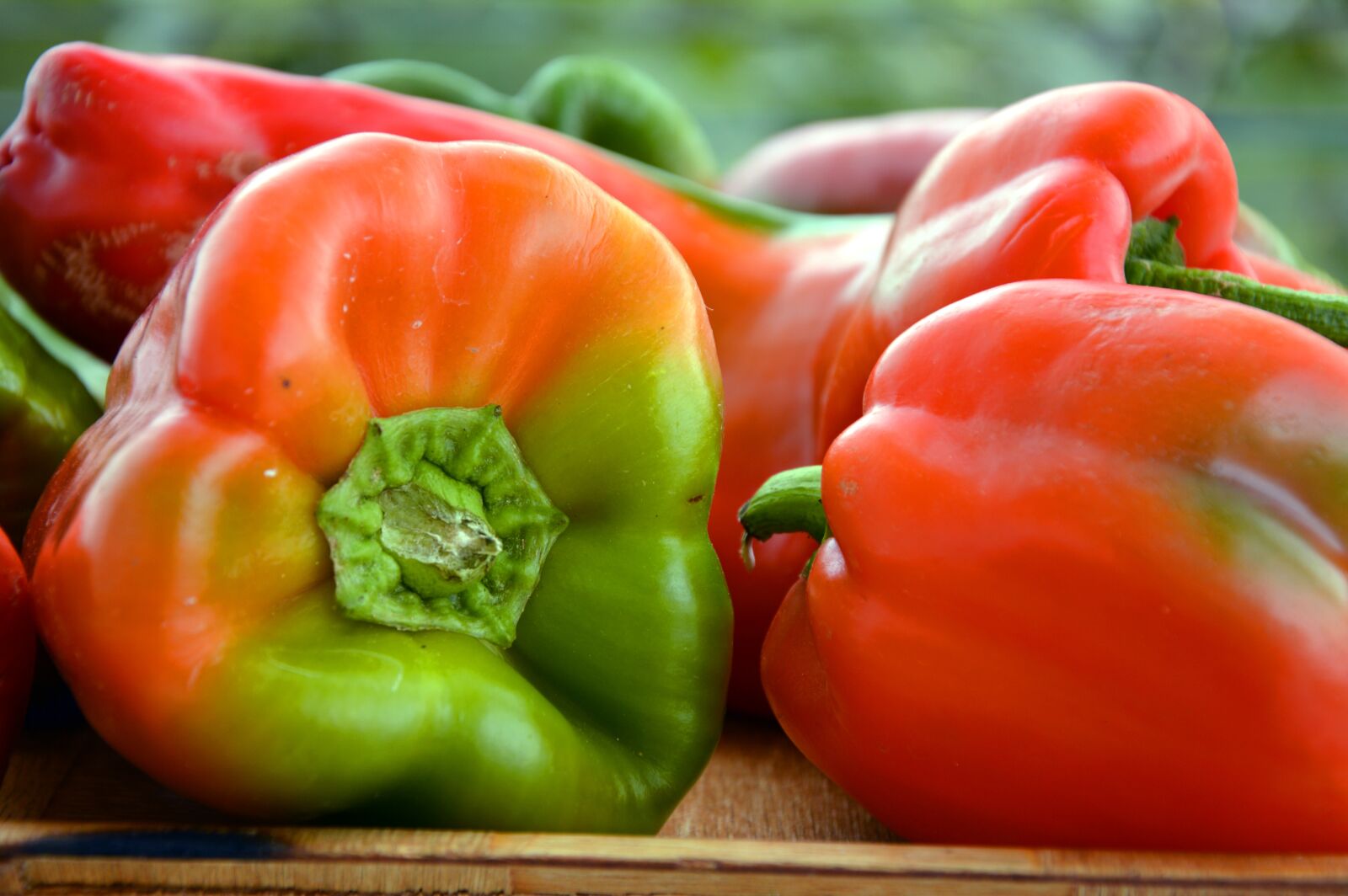 Nikon D3200 sample photo. Paprika, peppers, pods photography