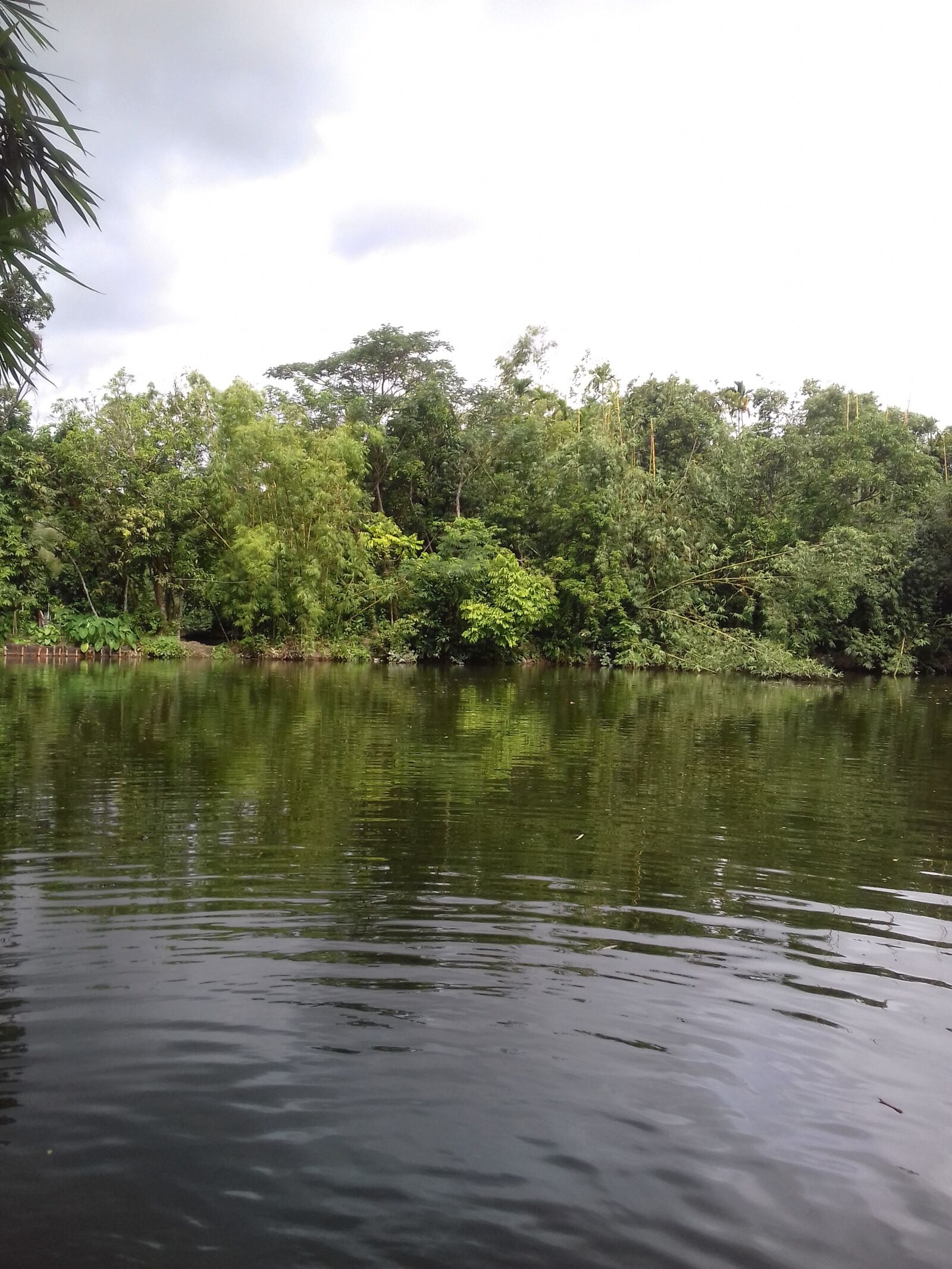 Samsung Galaxy J3(2016) sample photo. Pond, near, home photography