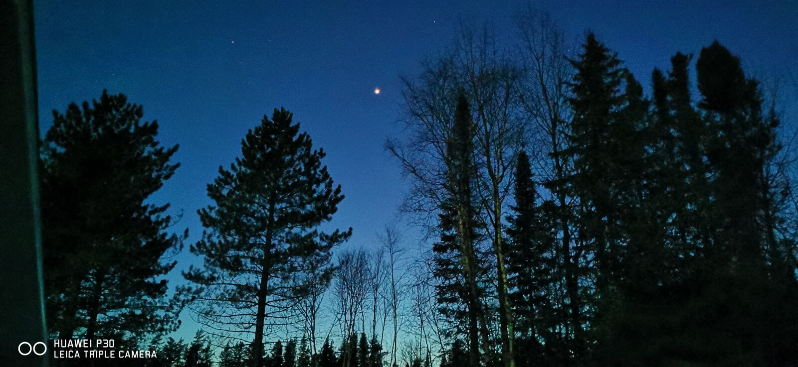 HUAWEI P30 sample photo. Evening, tree, calm photography