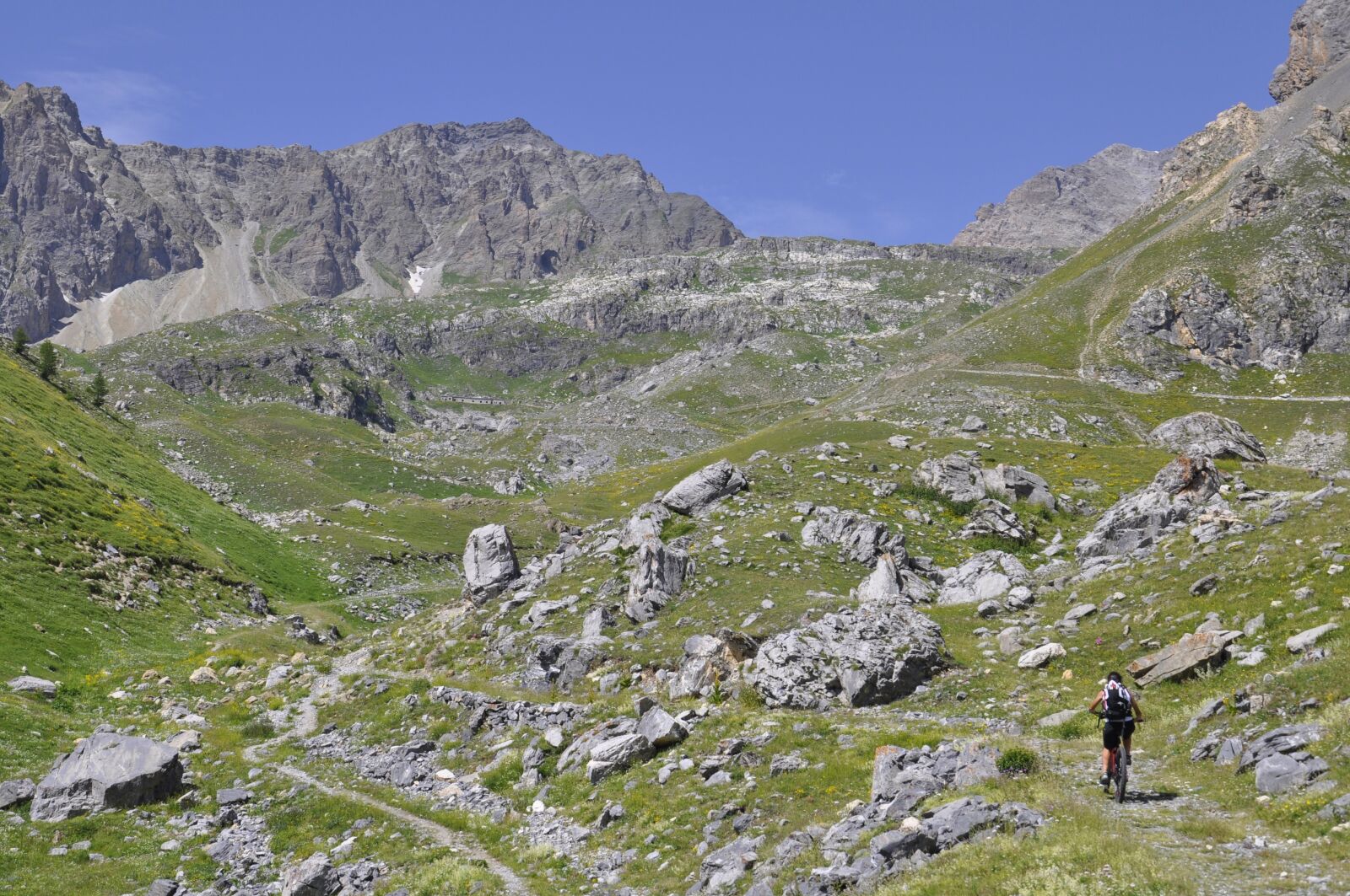 Nikon D5000 sample photo. Downhill, nature, mountain photography
