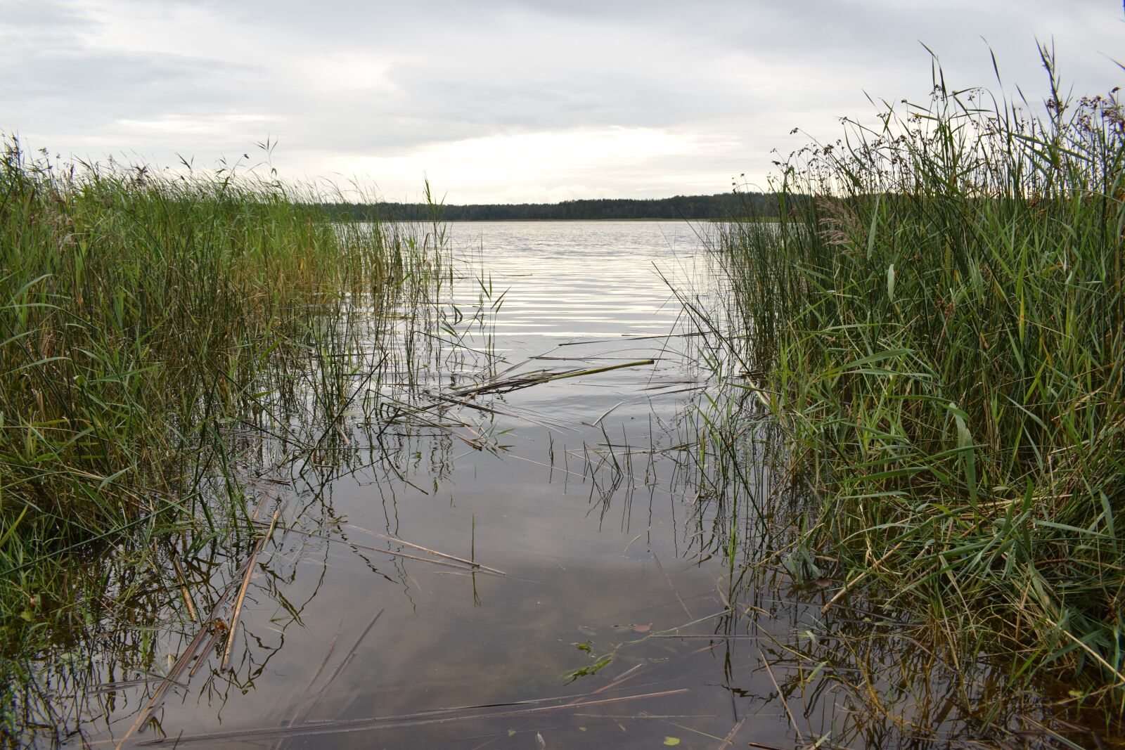Nikon D3300 sample photo. Lake, nature, water photography
