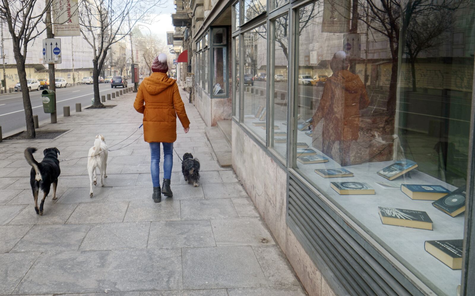 Nikon D5300 sample photo. Person, young, walking photography