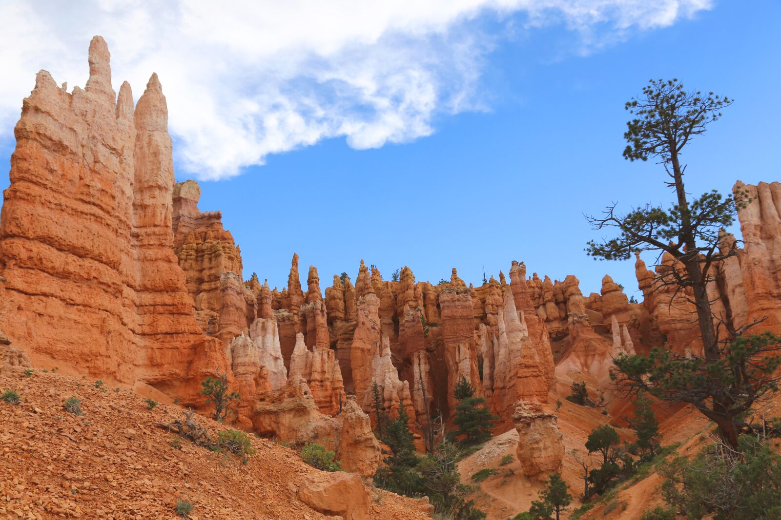 Canon EOS 6D + Canon EF 24-105mm F4L IS USM sample photo. Bryce canyon, utah, usa photography