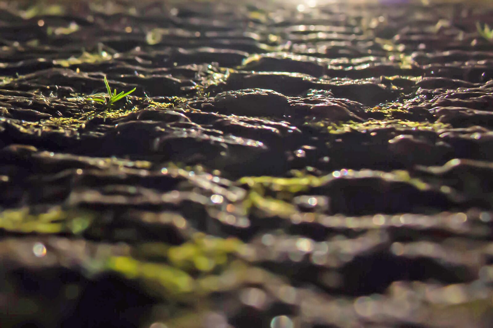 Canon EOS 70D sample photo. Road, asphalt, ground photography