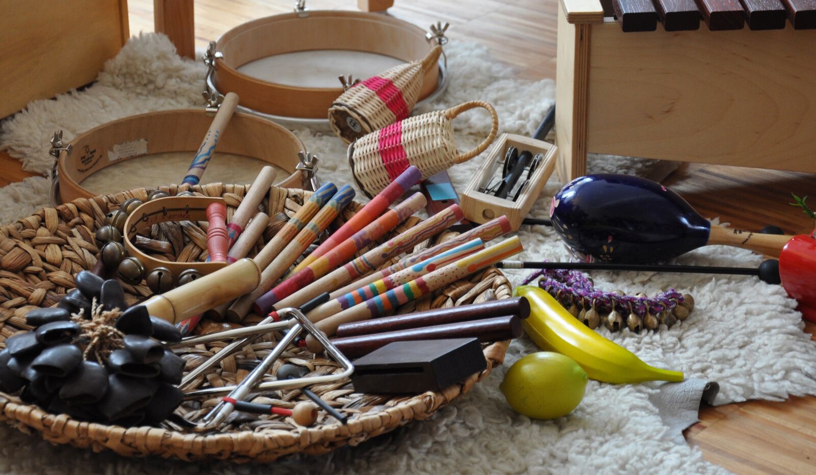 Nikon D90 sample photo. Instruments, orff, early education photography