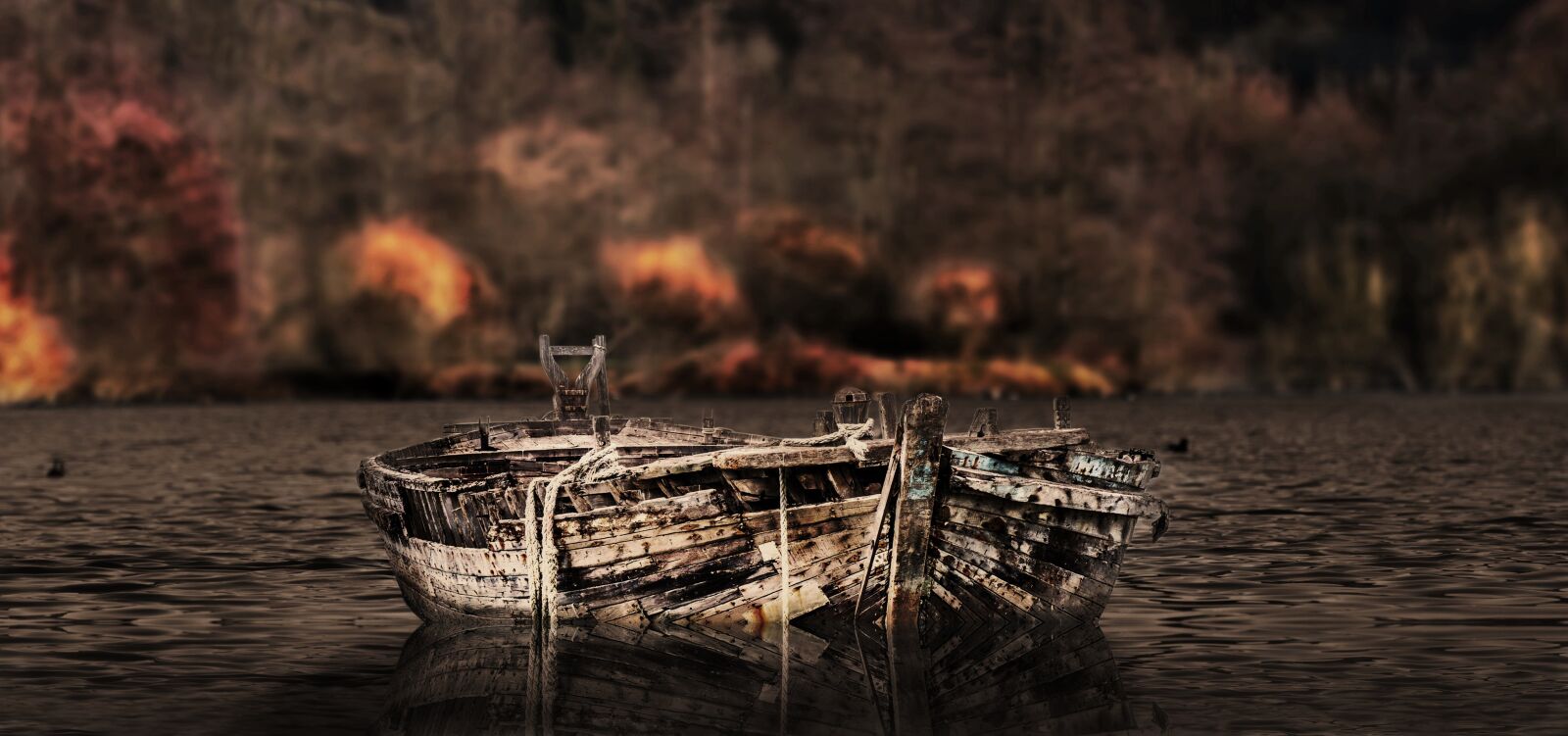 Canon EOS 80D sample photo. Nature, boat, wood photography