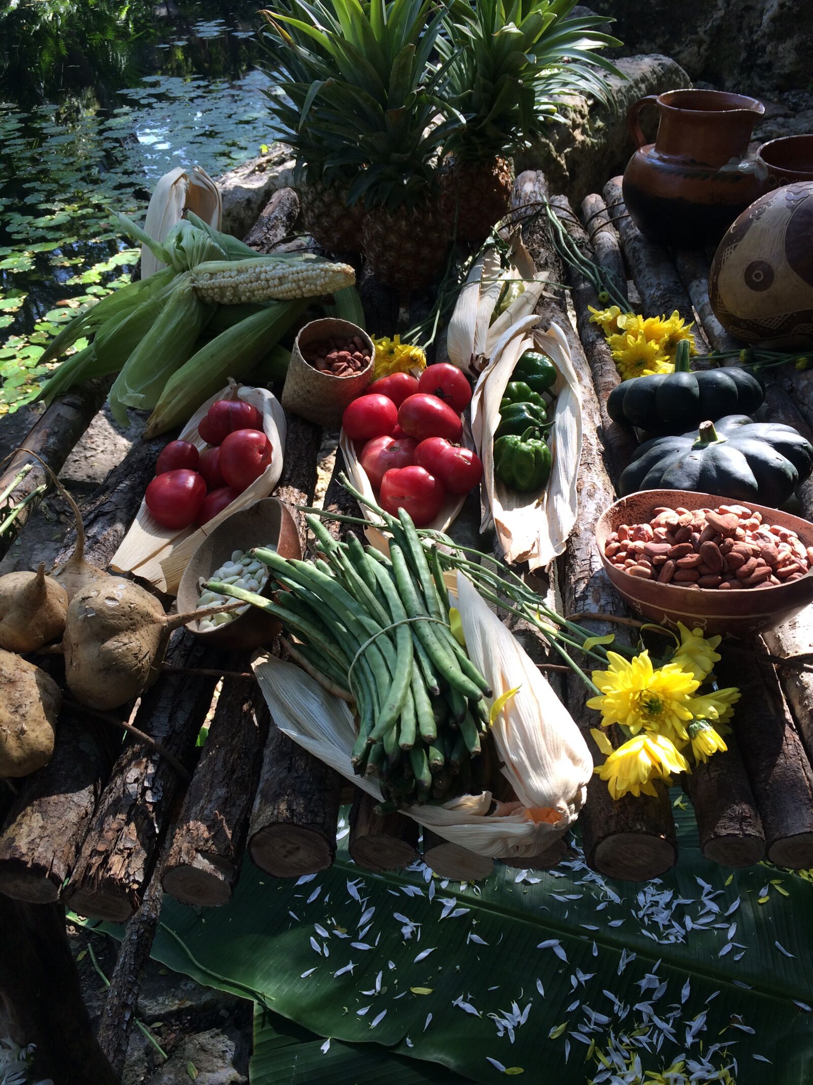iPhone 5s back camera 4.15mm f/2.2 sample photo. Ofrenda, tierra, ceremonia photography