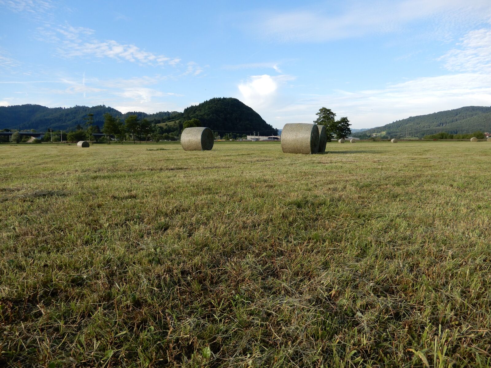 Nikon Coolpix A900 sample photo. Round bales, pasture, agriculture photography