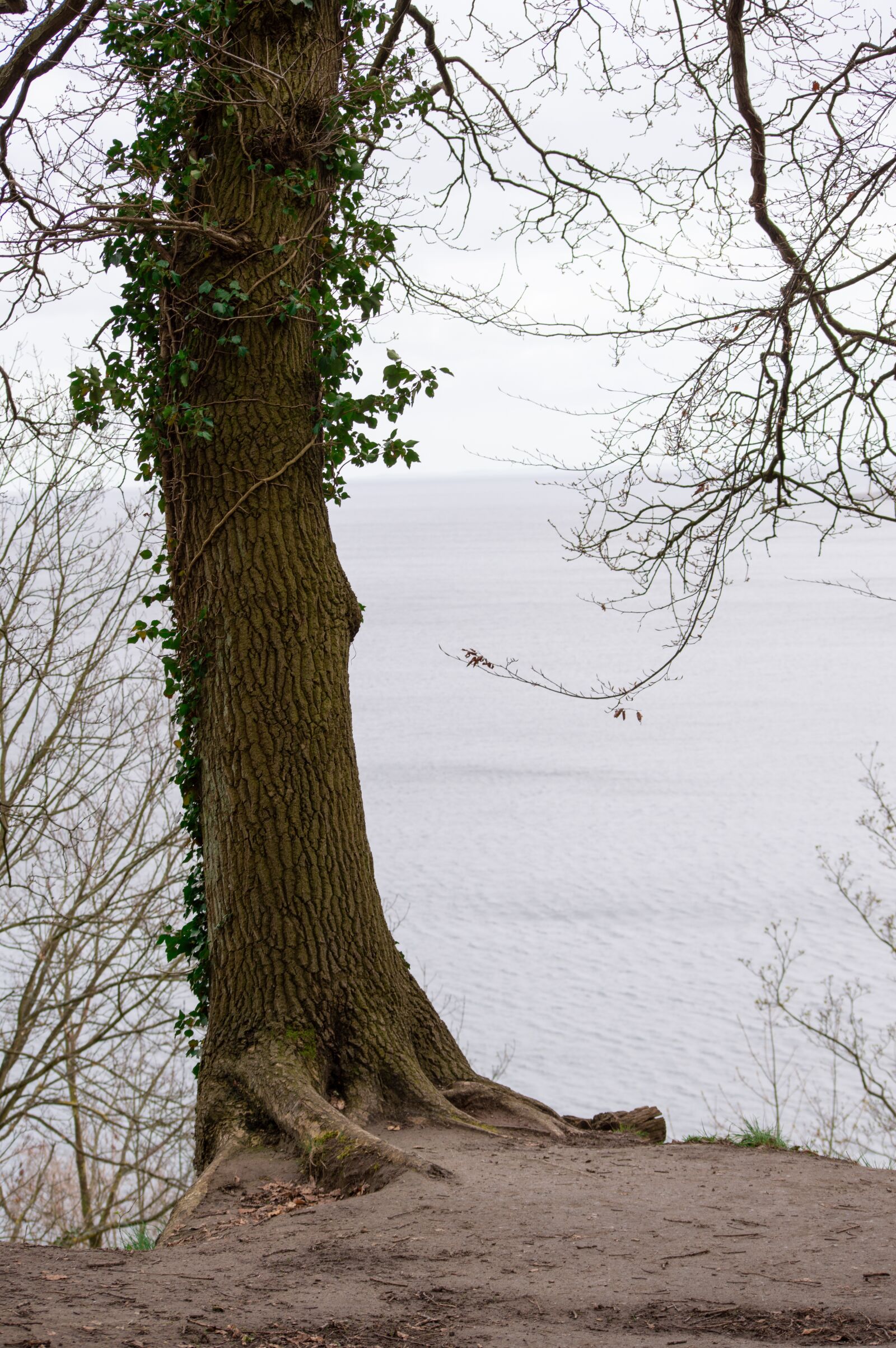 Nikon D3200 sample photo. Outside, århus, aarhus photography
