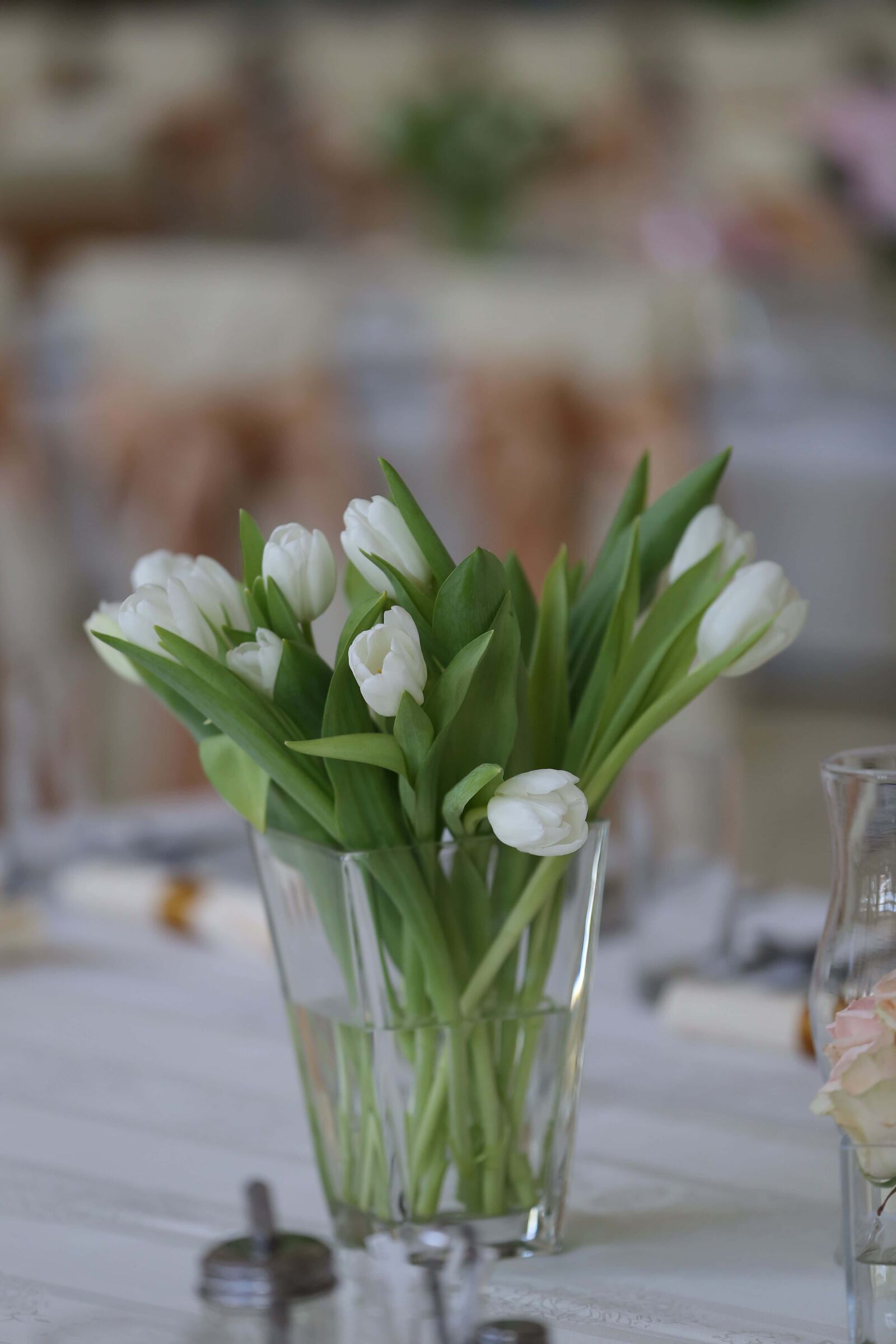 Canon EOS 6D sample photo. White flower, tulips, elegant photography