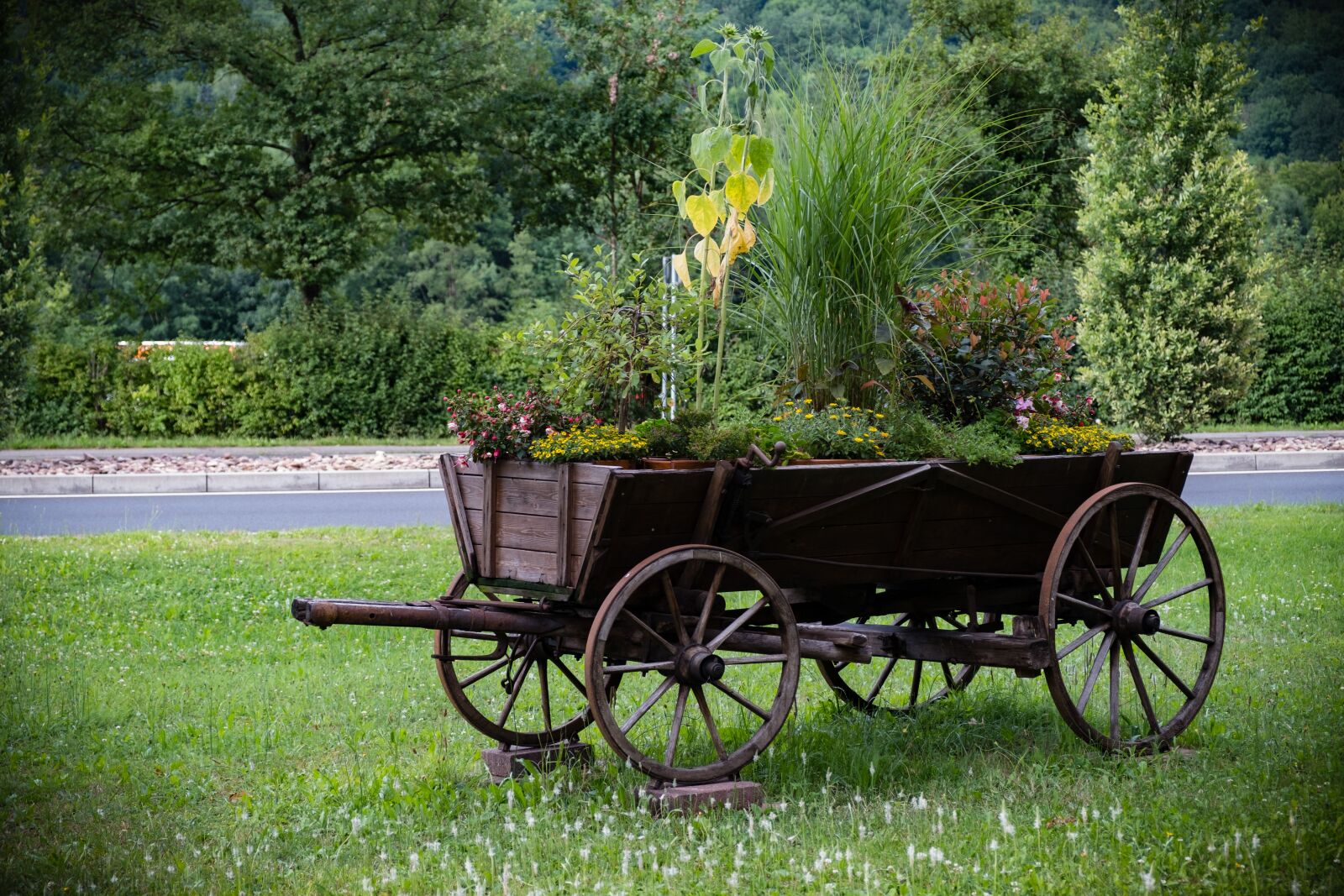 Fujifilm XF 18-55mm F2.8-4 R LM OIS sample photo. Dare, coach, wheel photography