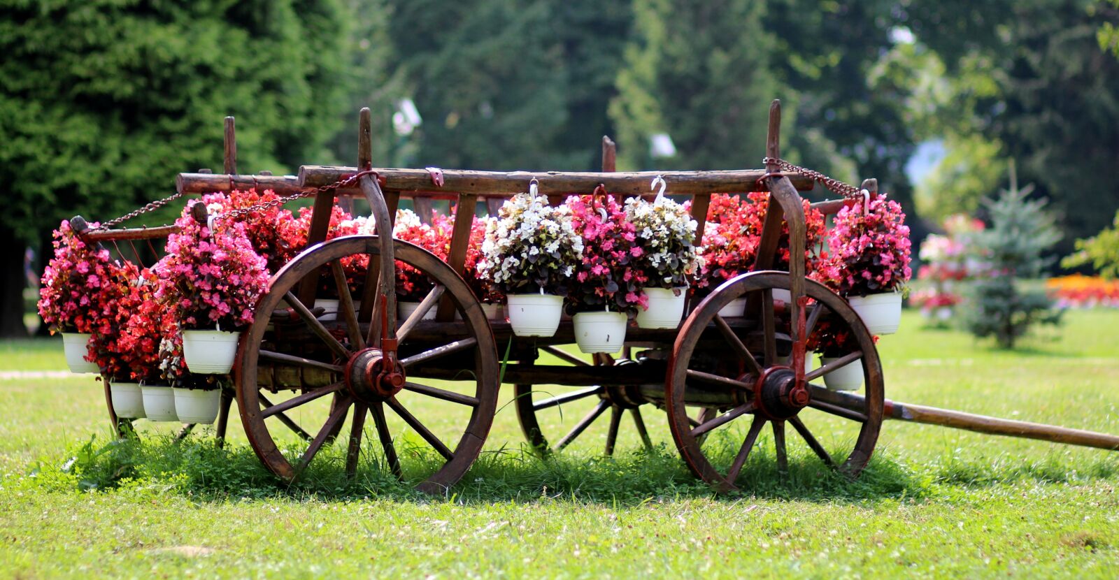 Canon EOS 700D (EOS Rebel T5i / EOS Kiss X7i) + Canon EF 85mm F1.8 USM sample photo. Cart, flowers, rustic photography