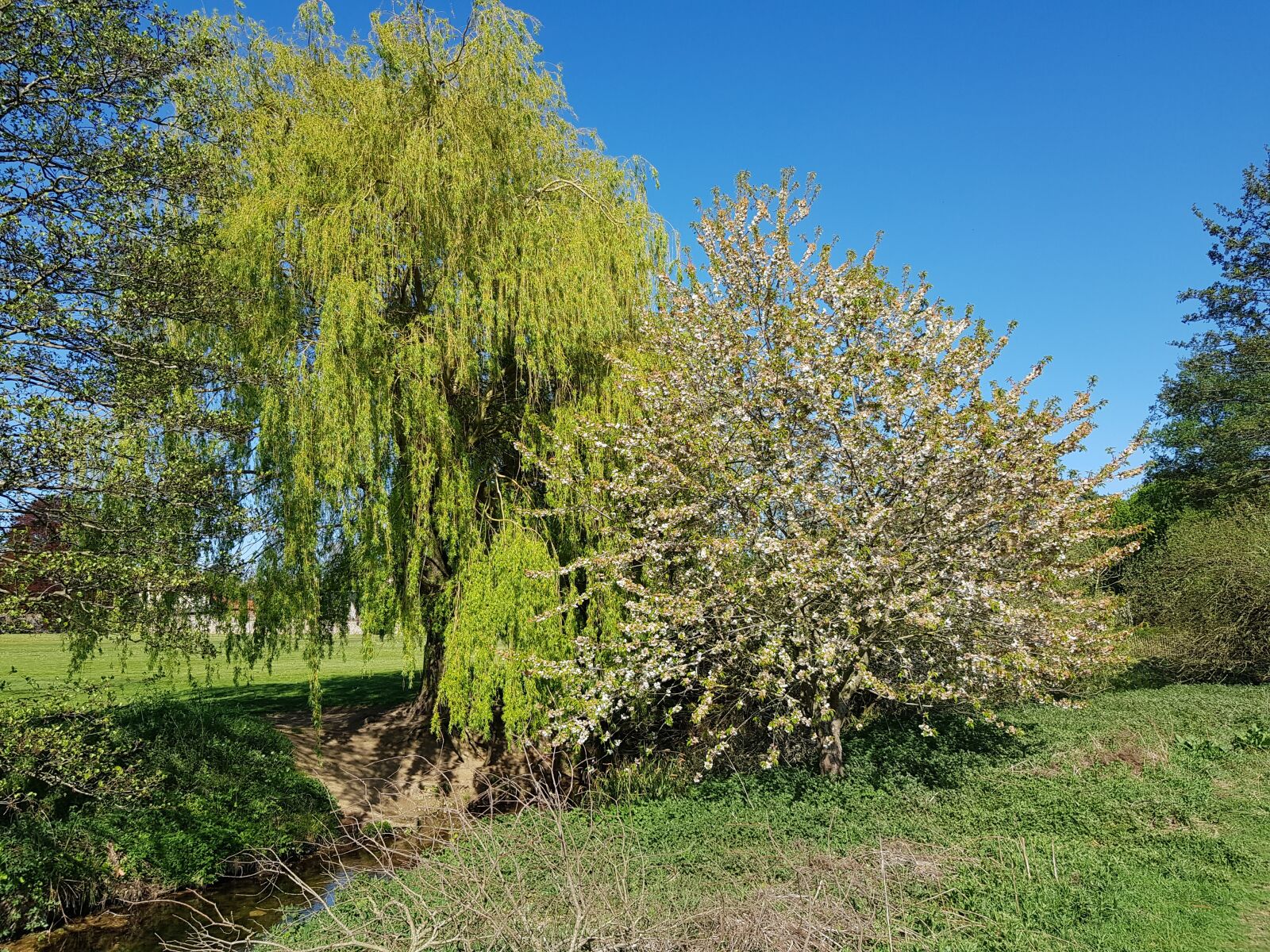 Samsung Galaxy S8 sample photo. River, countryside, trees photography