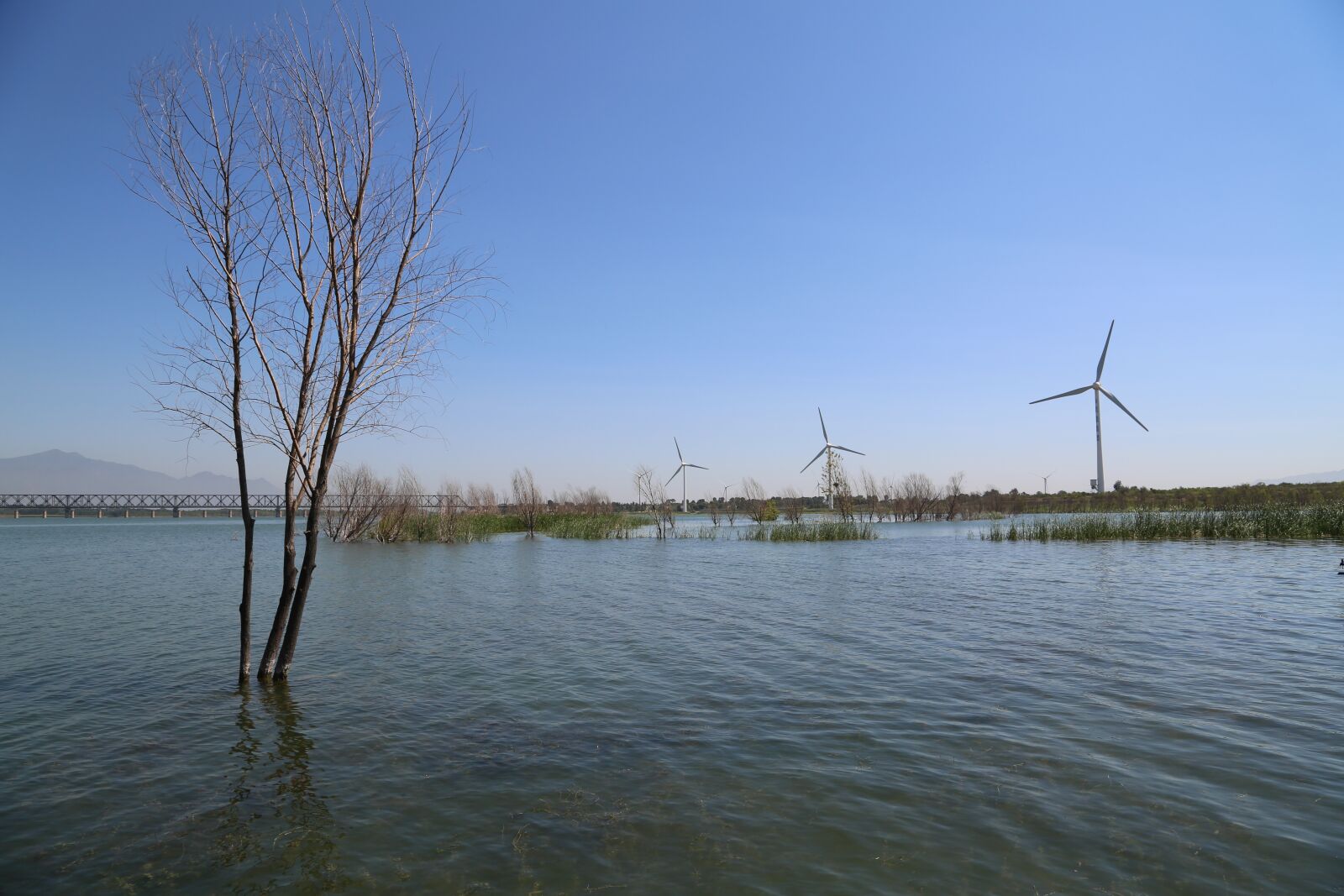 Canon EF 24-105mm F4L IS USM sample photo. Water, blue sky, windmill photography